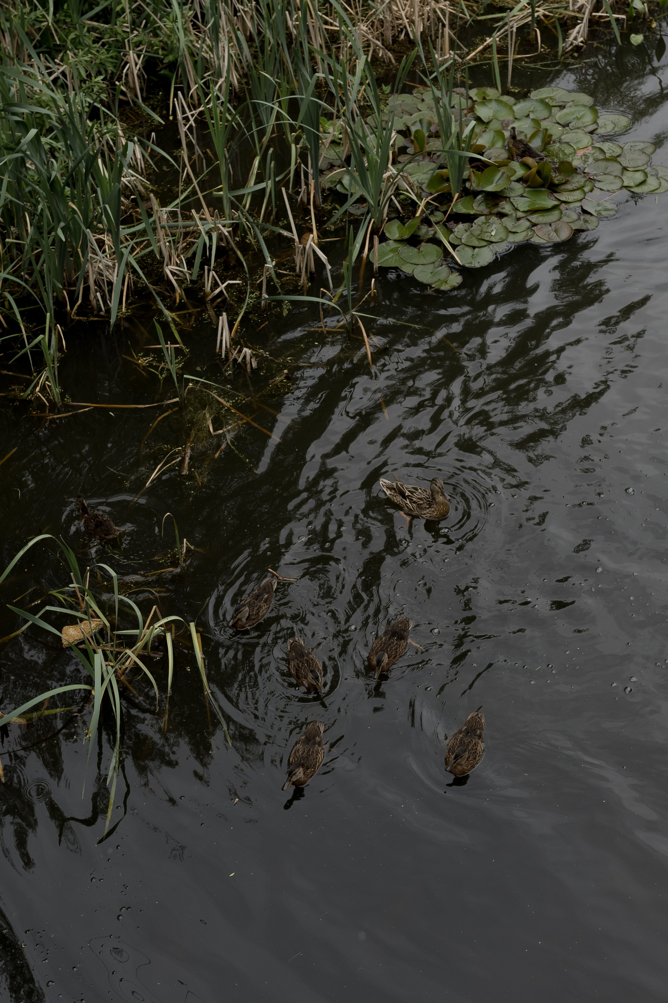 Семейная в яхт-клубе. Свадебный и женский фотограф в Москве