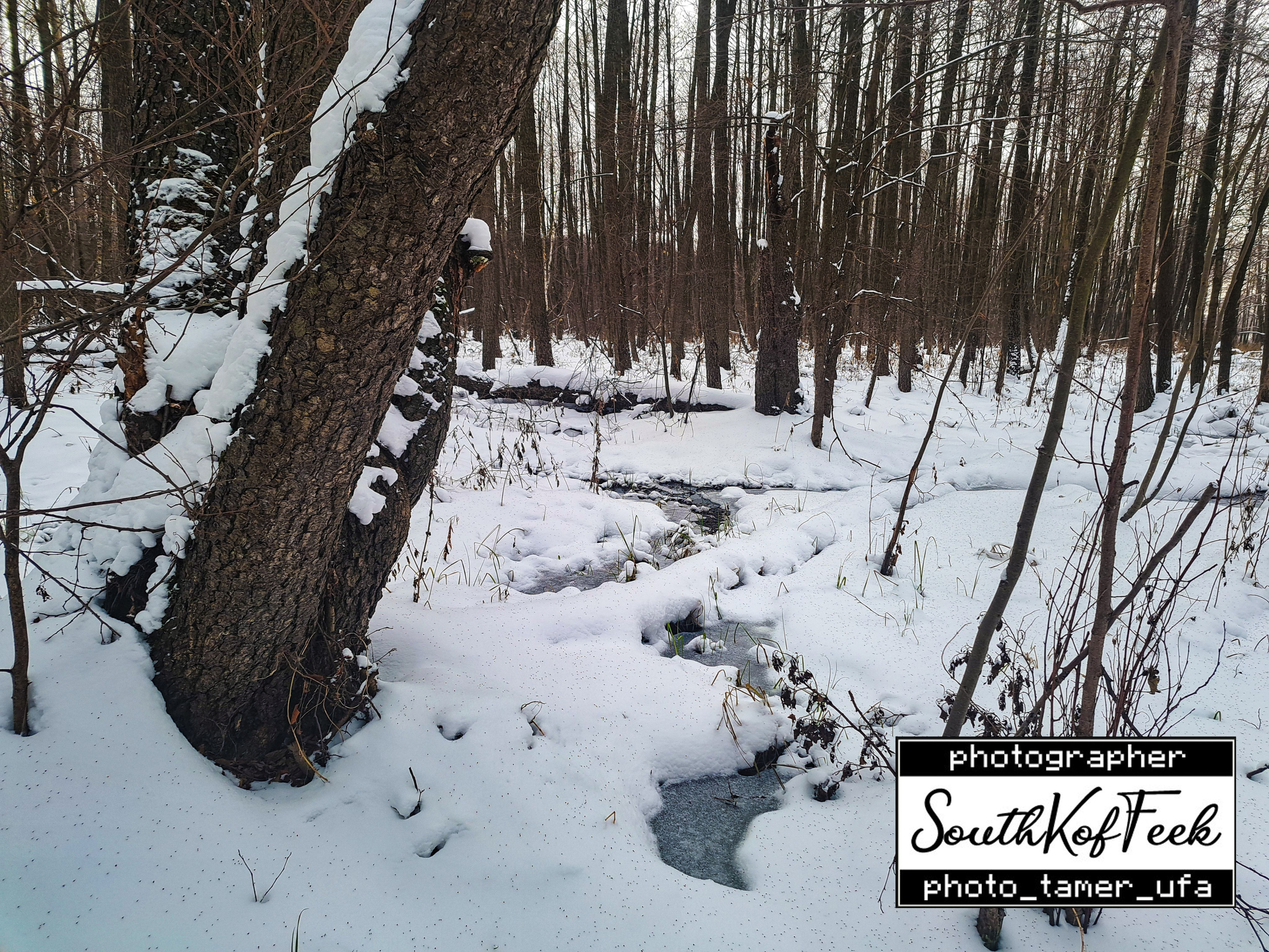 Прочие съемки. Photo Tamer Ufa