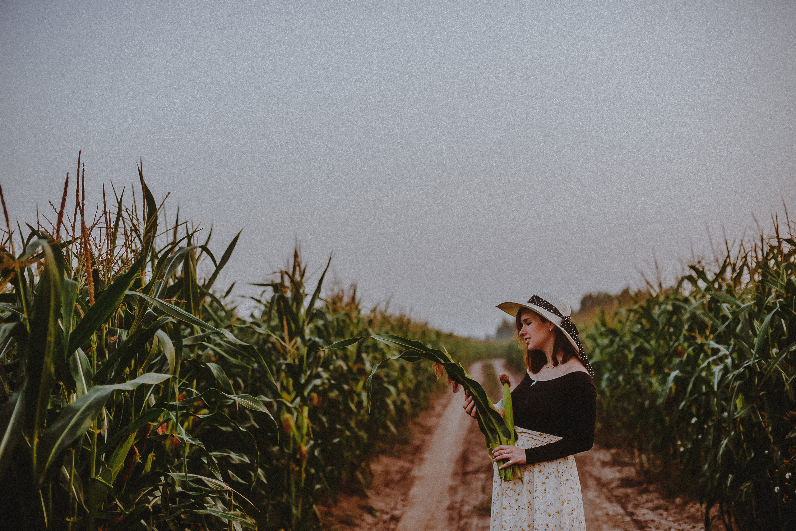 Кукуруза. Свадебный и семейный фотограф в Москве Сажина Кристина КиМ. Свадебный оператор в Москве Сажин Максим