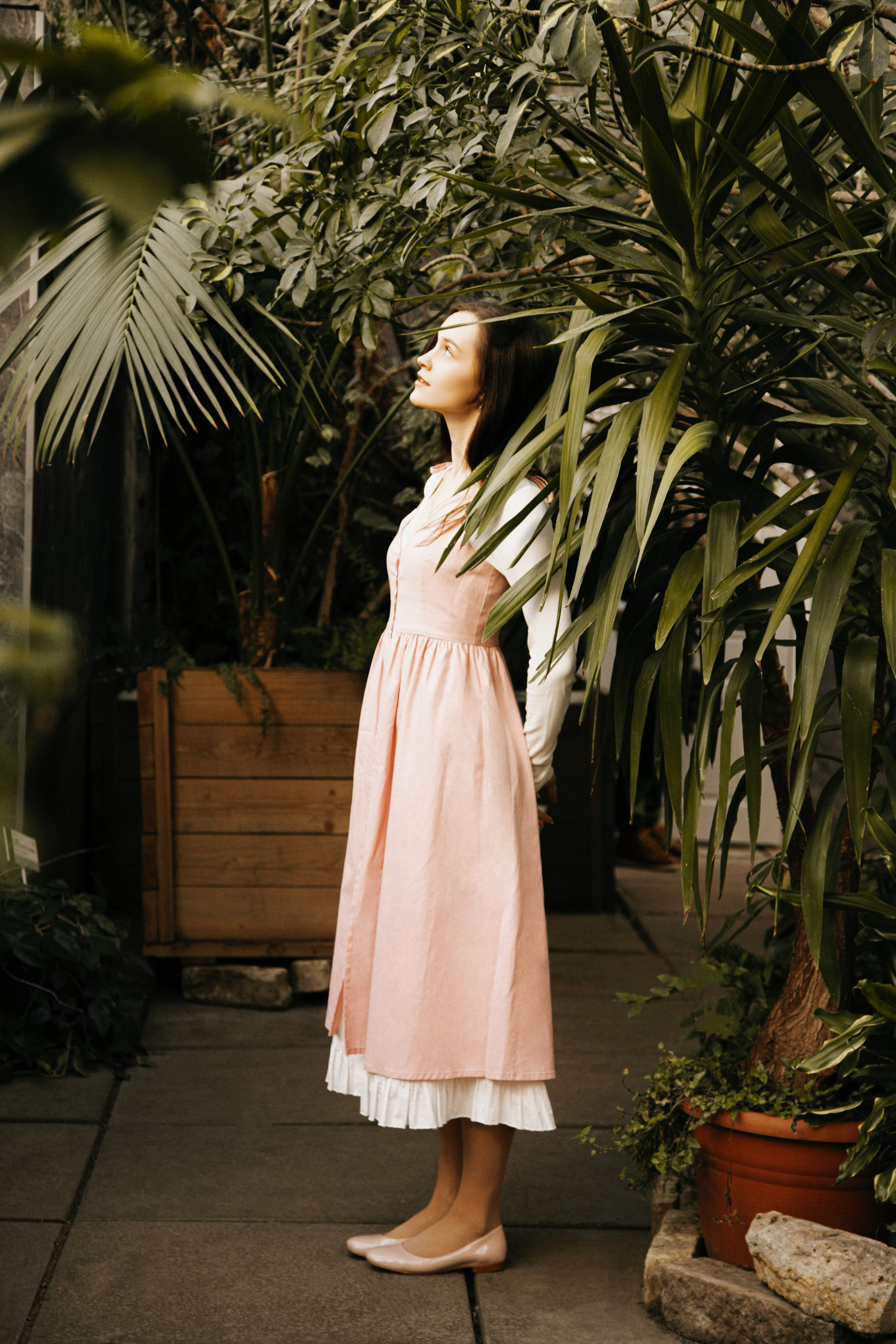 Оранжерея Таврического сада