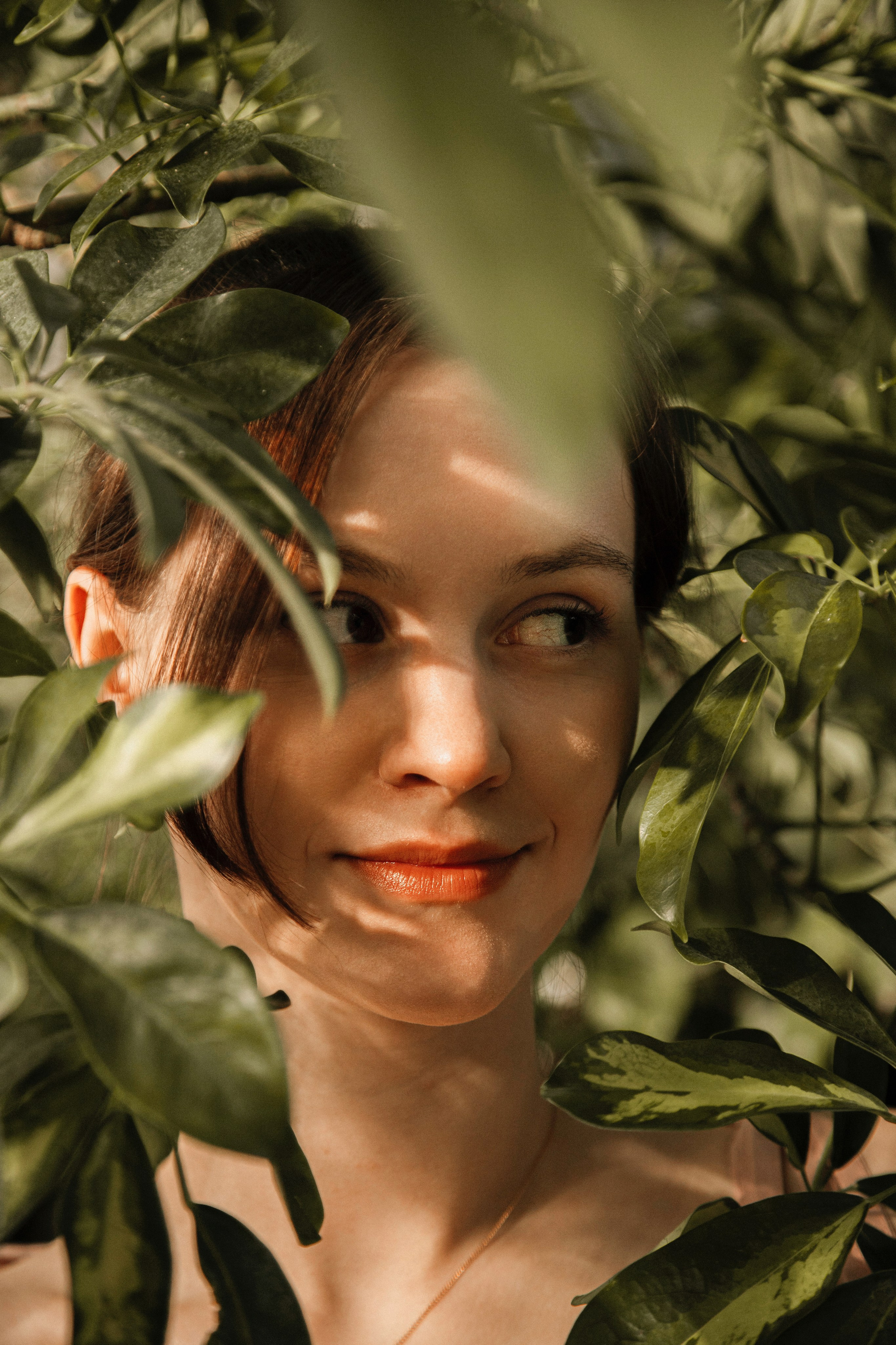 Оранжерея Таврического сада