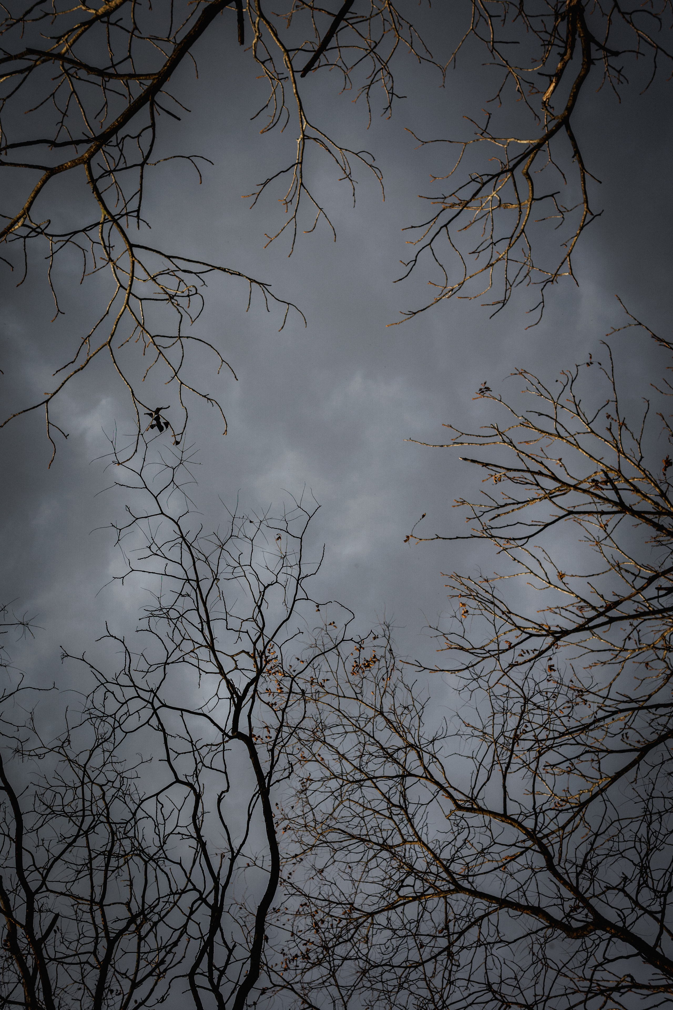 В лесу. Свадебный, семейный и детский фотограф в городе Партизанск, Находка