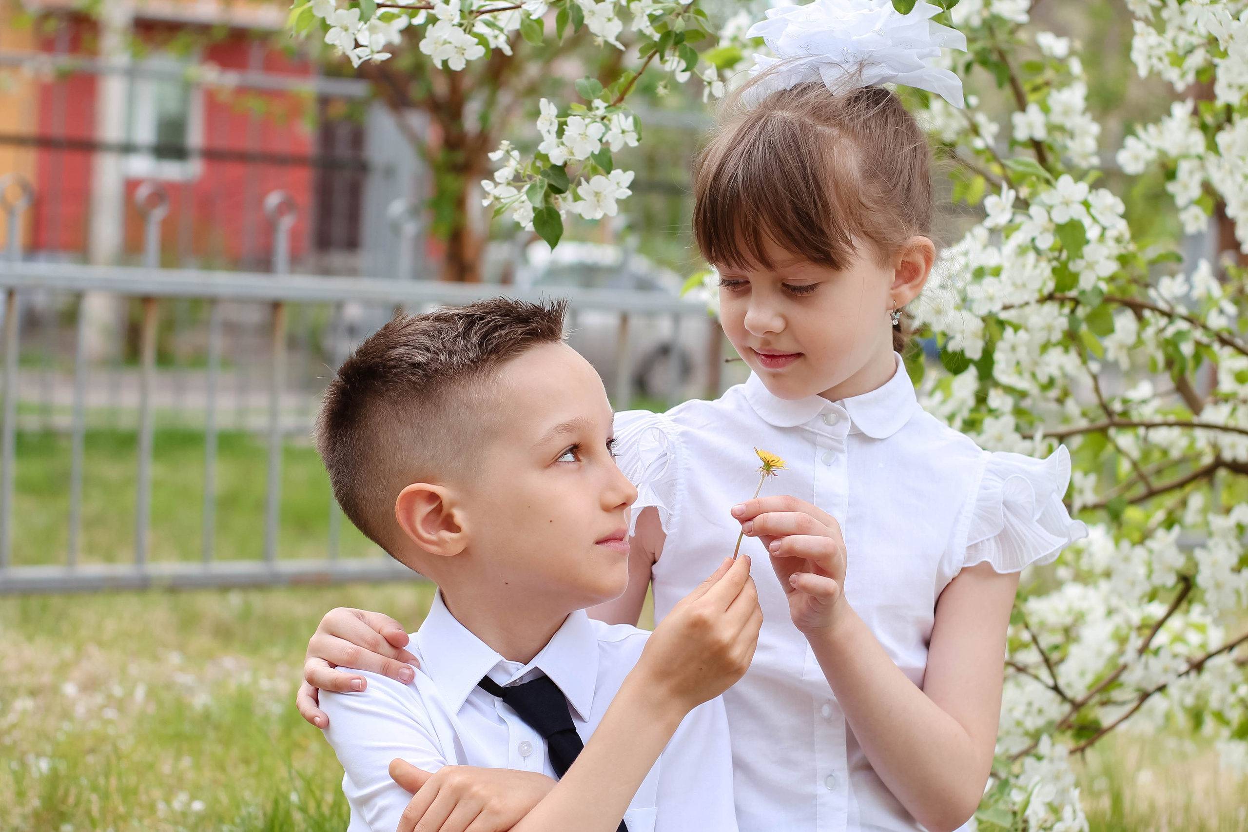 Групповые фото 1-4 класс. Фото-шадрина.ру