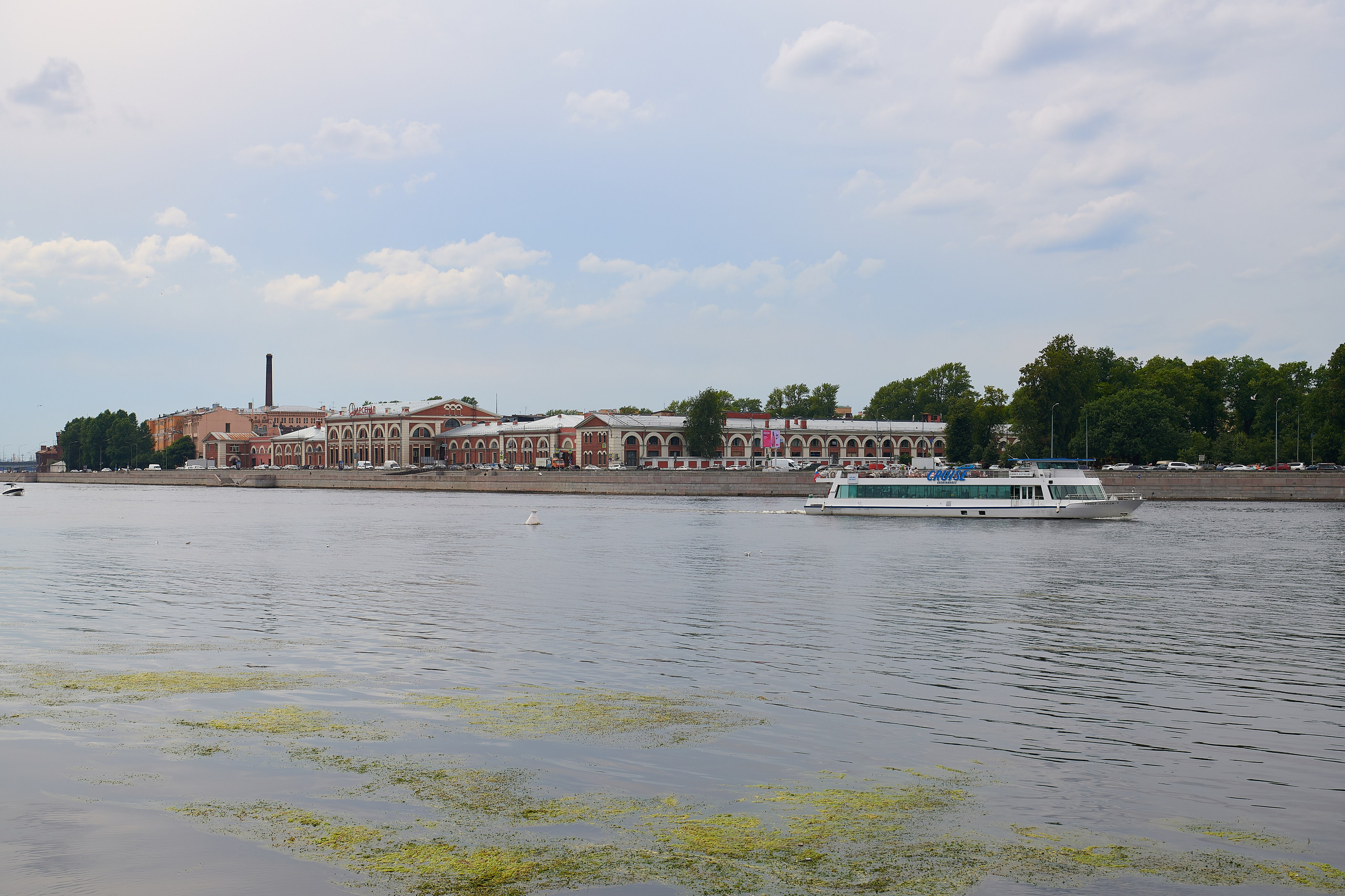 Прогулка по Петербургу. Ольга Чёкотова (Фотограф Кострома)