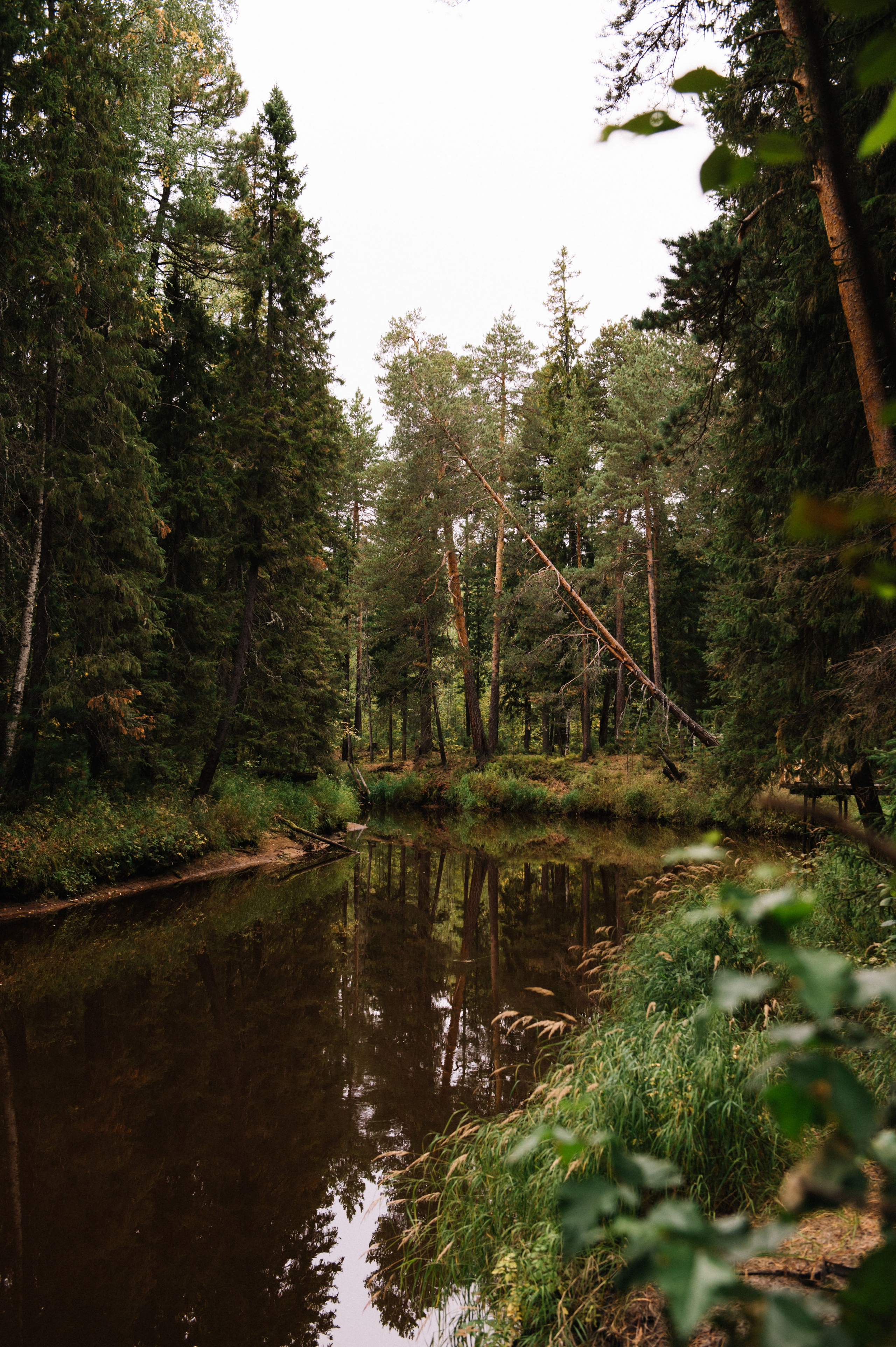 Посиделки в шалаше. Фотограф в Сургуте Светлана Гибадуллина