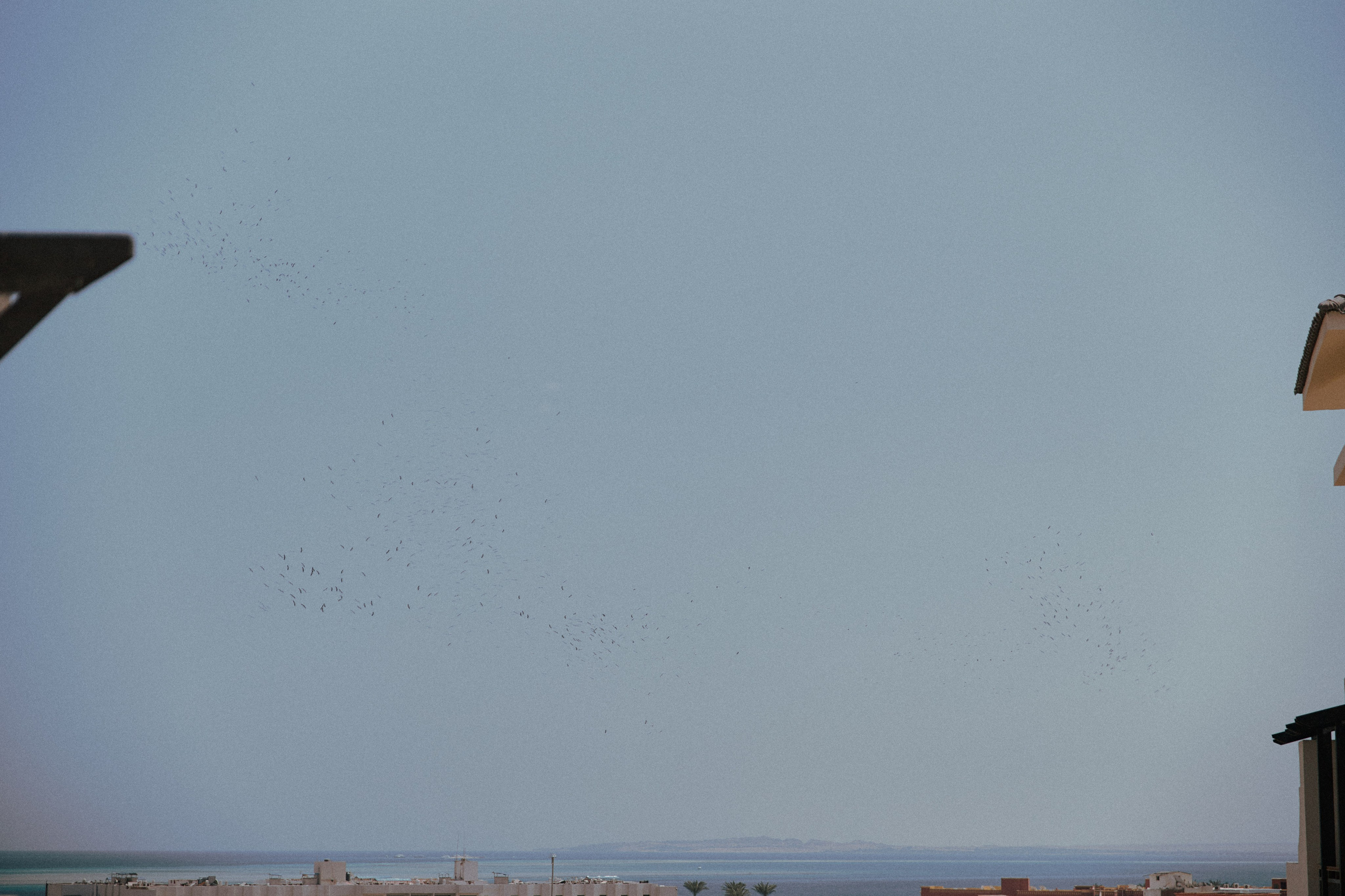 Улица горизонтальная. Jorgis — фотограф в Хургаде / обучение фотографии