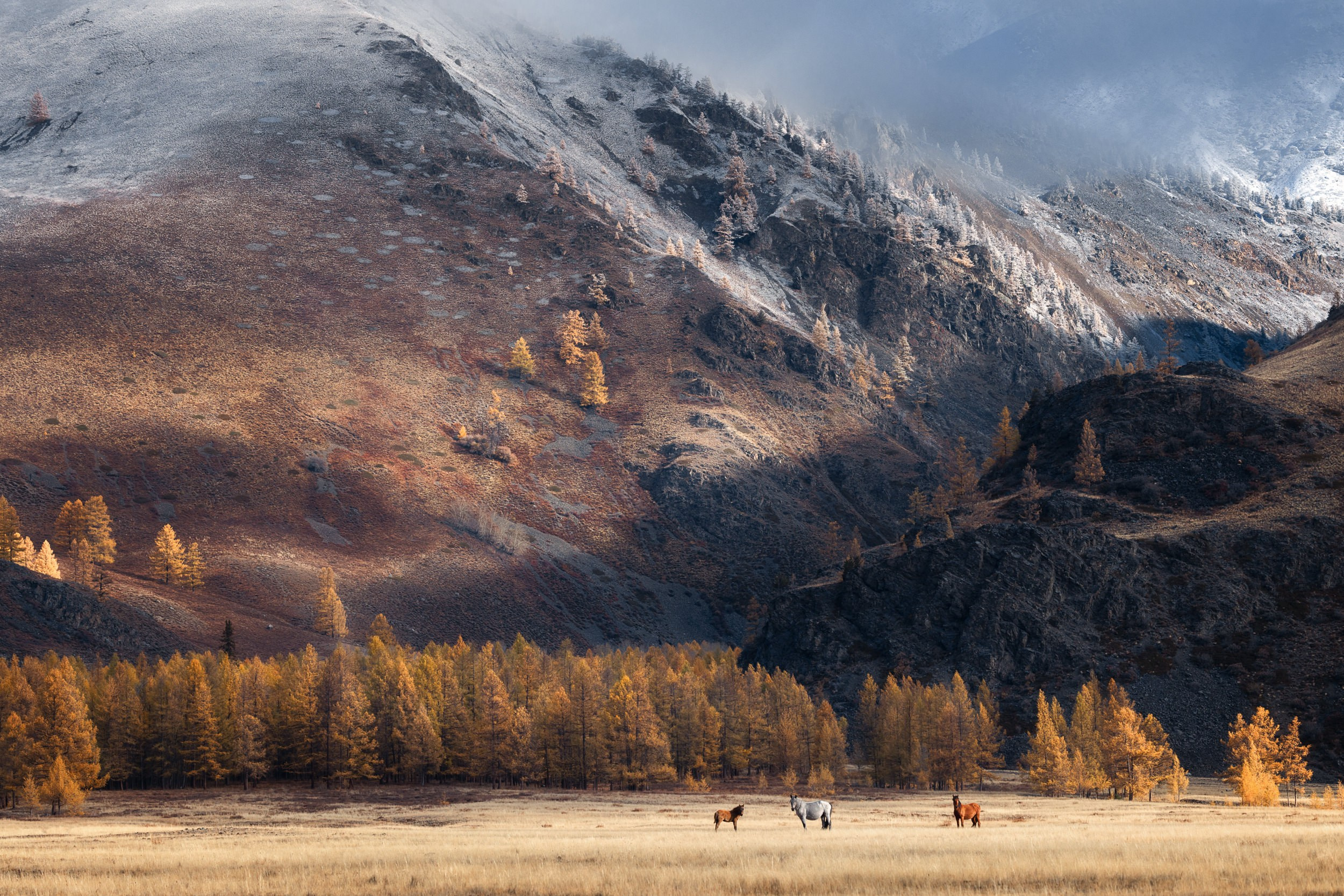 Пейзаж • Landscape. Елена Ивановой • Профессиональный фотограф