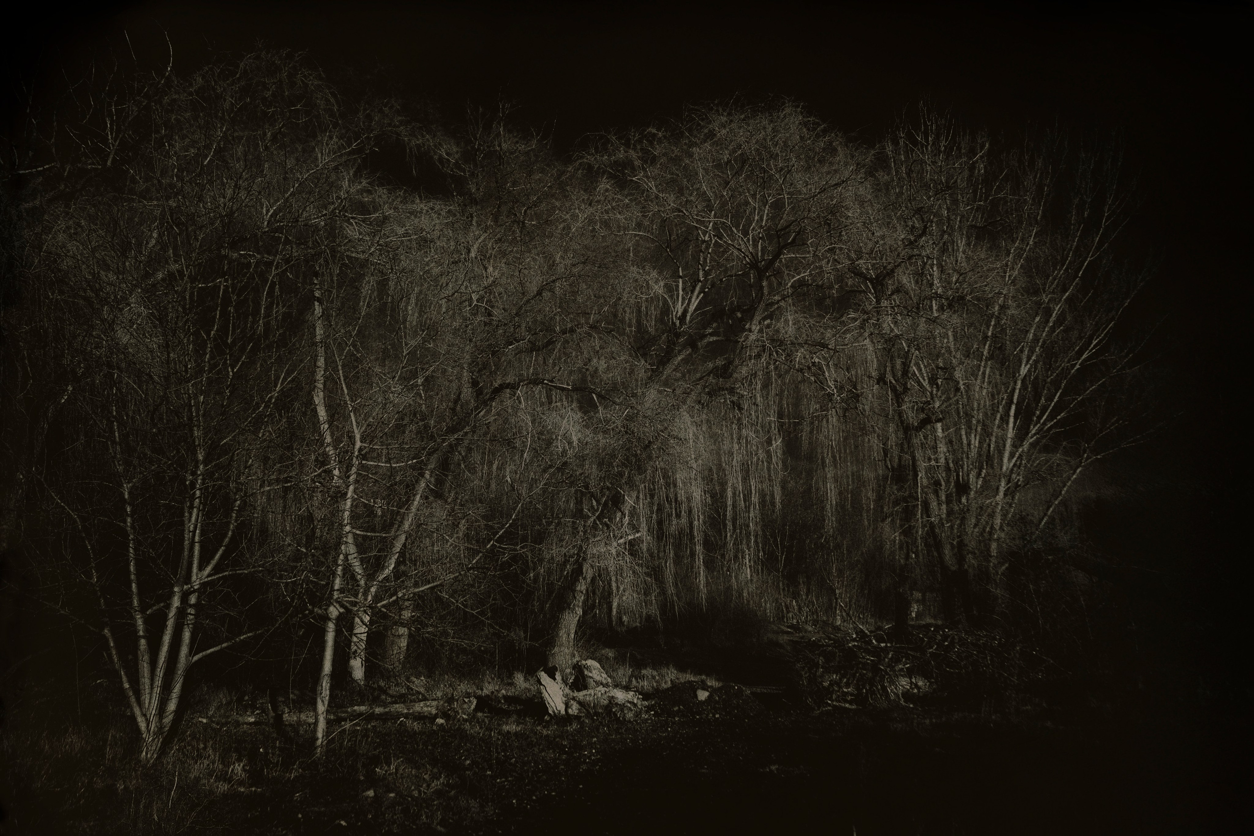 Homeland Adygea. Visual artist