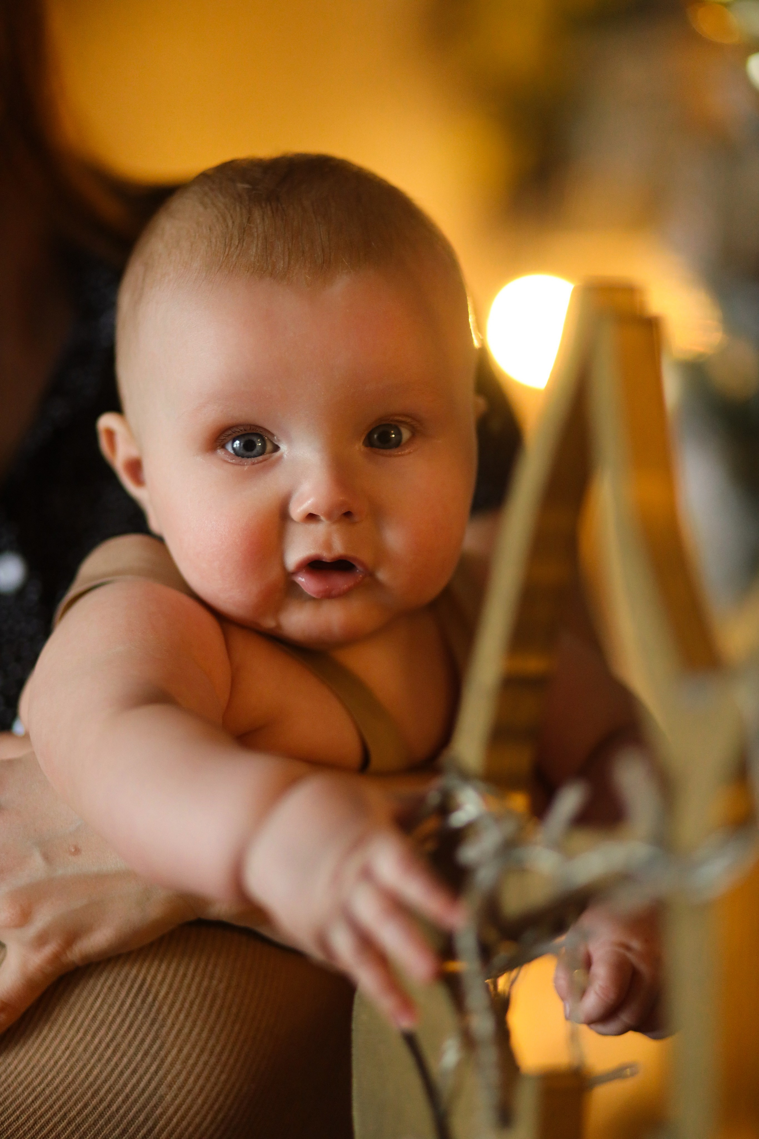 Alex, Anastasia и Аrseniy. Kharchenkotatianaweddingphoto