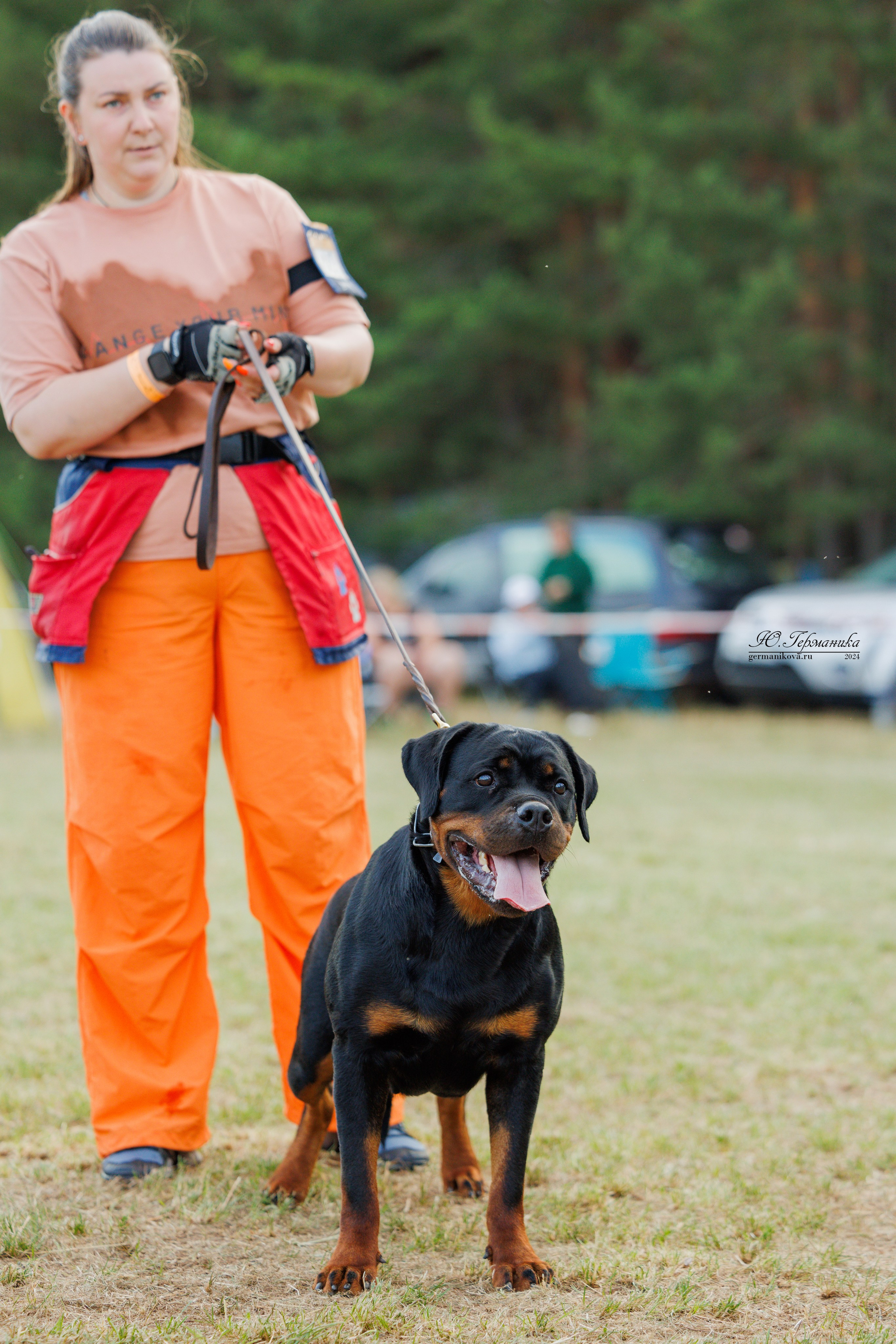 ПК и КЧК ротвейлеры Тверь 6-7.07.2024. Фотограф-анималист Юлия Германика