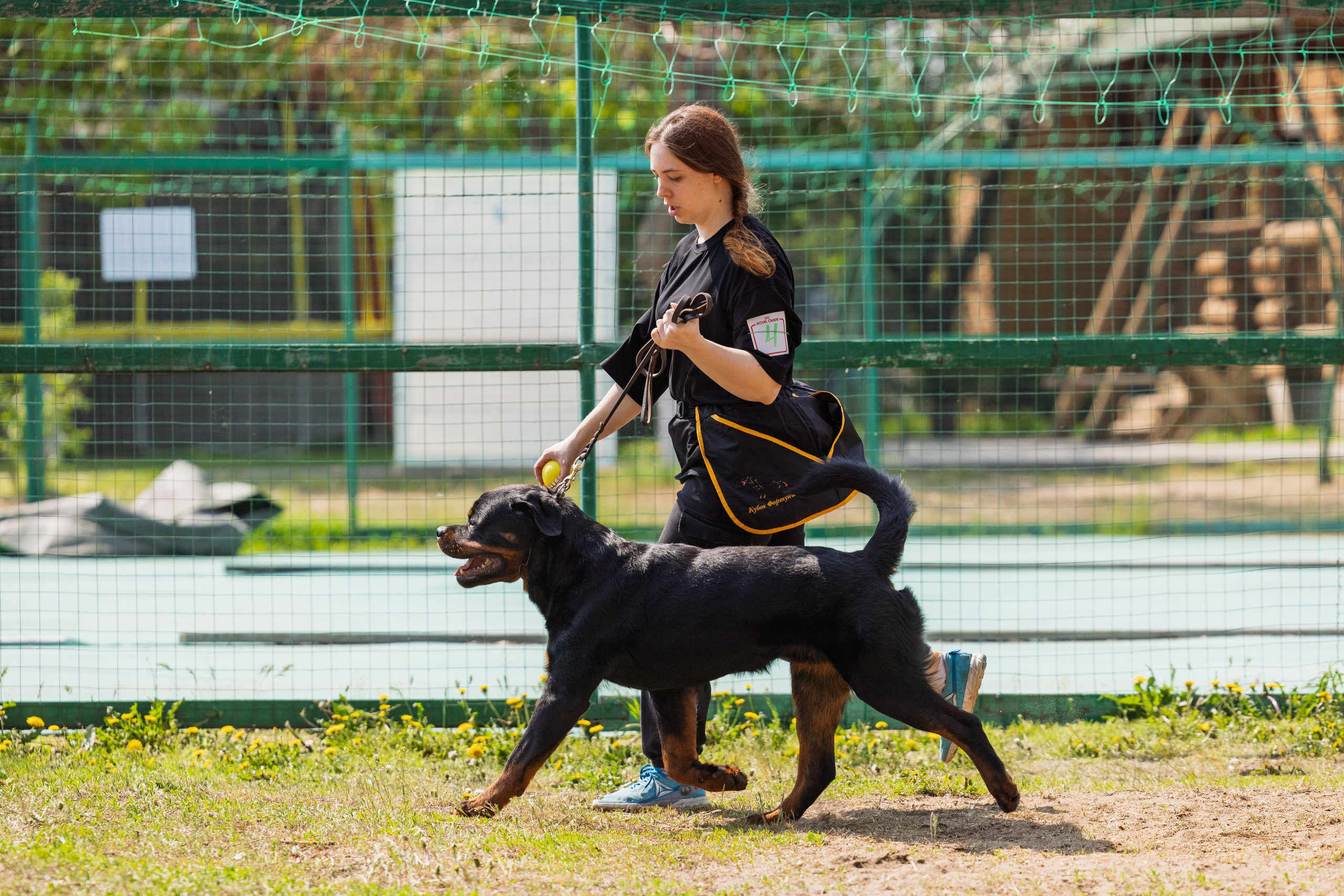 Саратов моно ротвейлеров 26-27.04.2025. Фотограф-анималист Юлия Германика