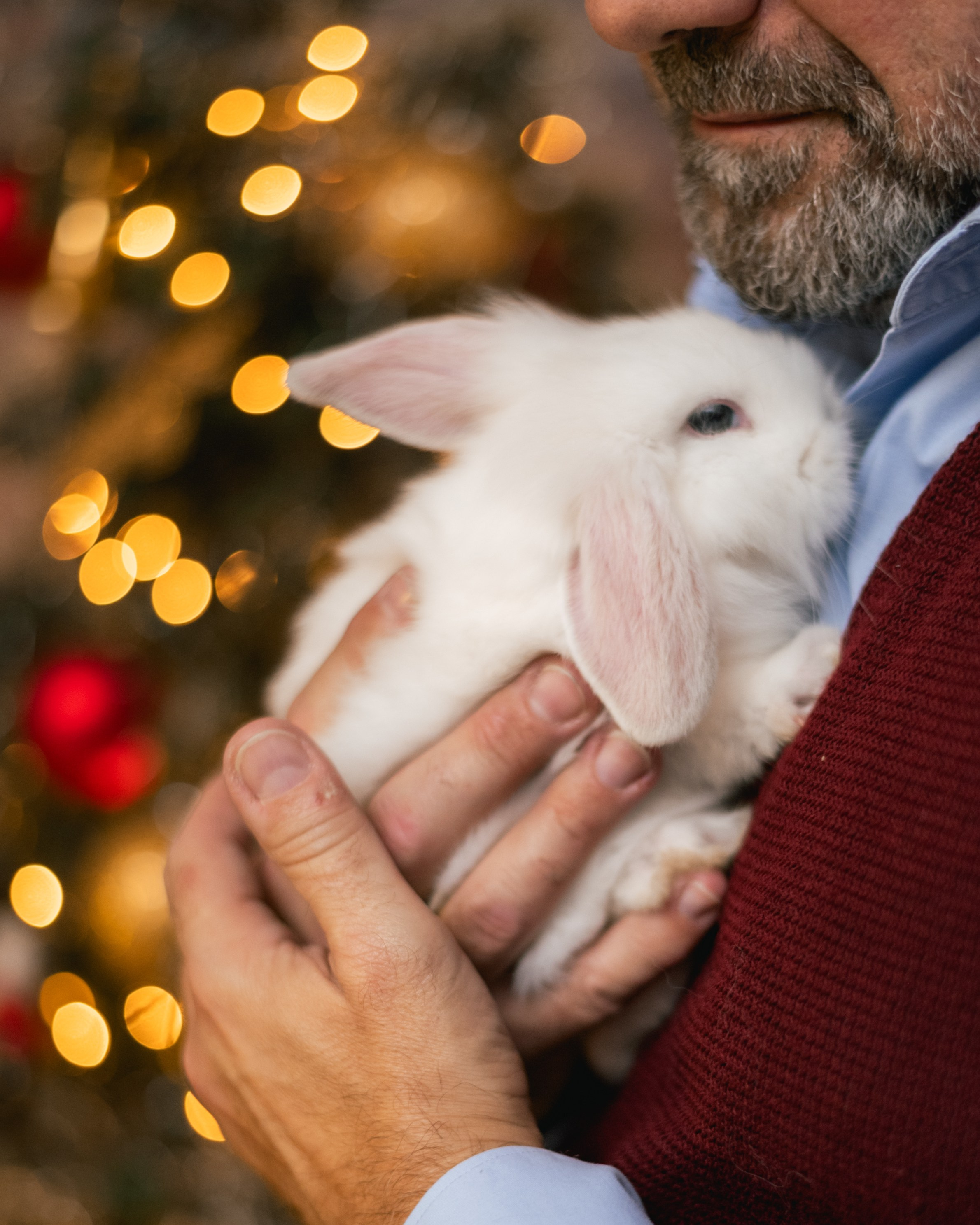 CHRISTMAS FOR VIKTOR AND ALEKSANDR. Anastasiia Antoniuk portrait, family and couple photographer, Portugal