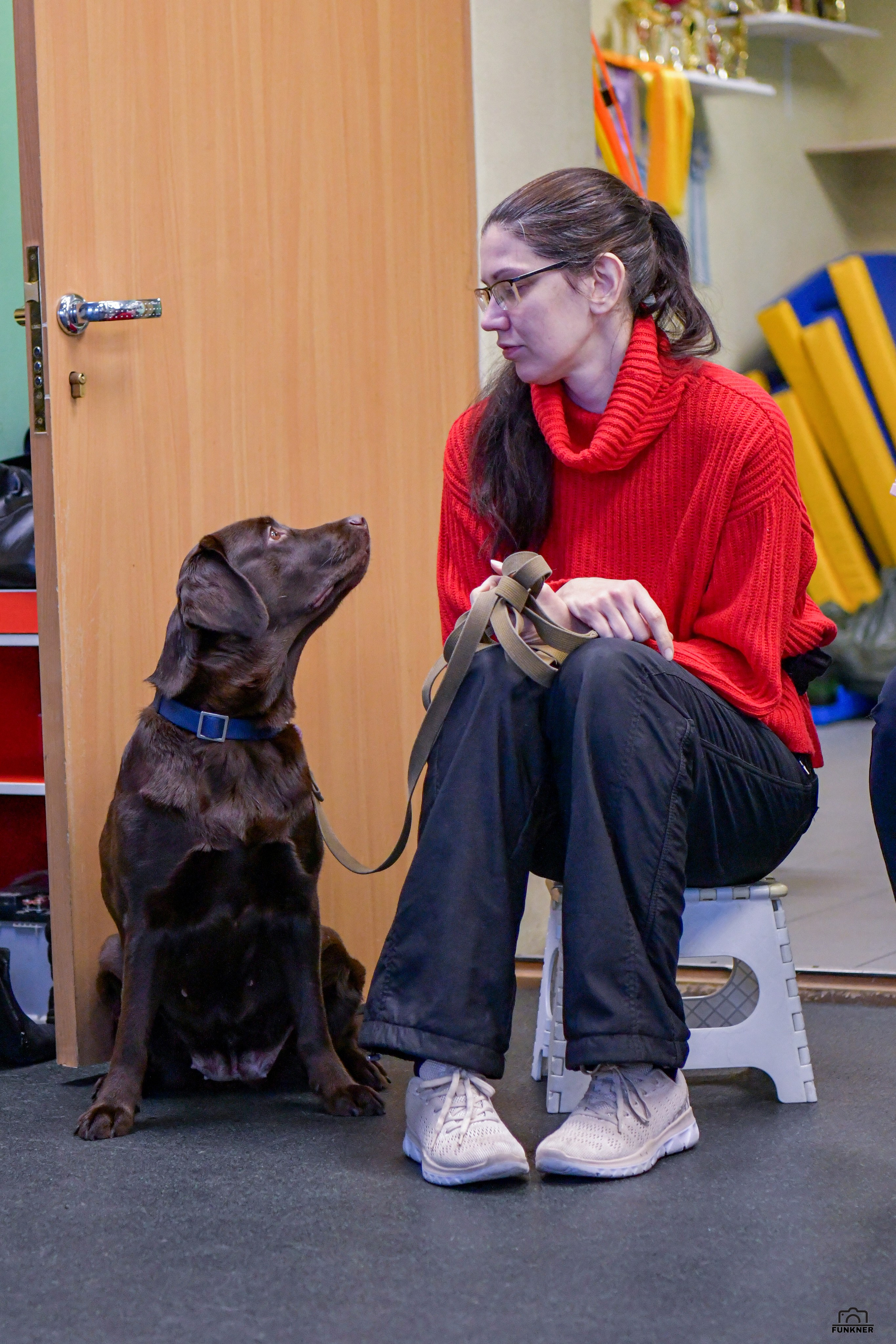 Кинологический клуб «Бодрый хвост». Свой взгляд через объектив