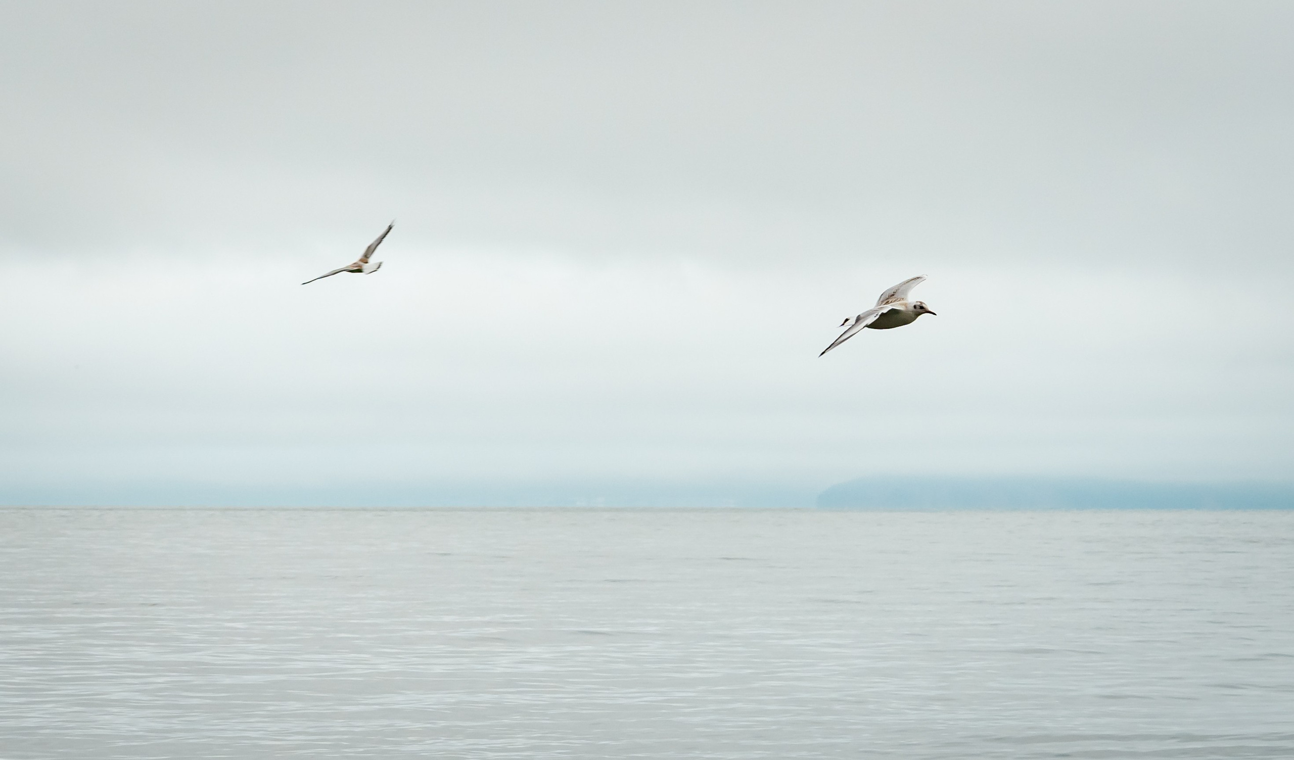 Камчатка. Семейный фотограф Варвара Сорока в городе Москве