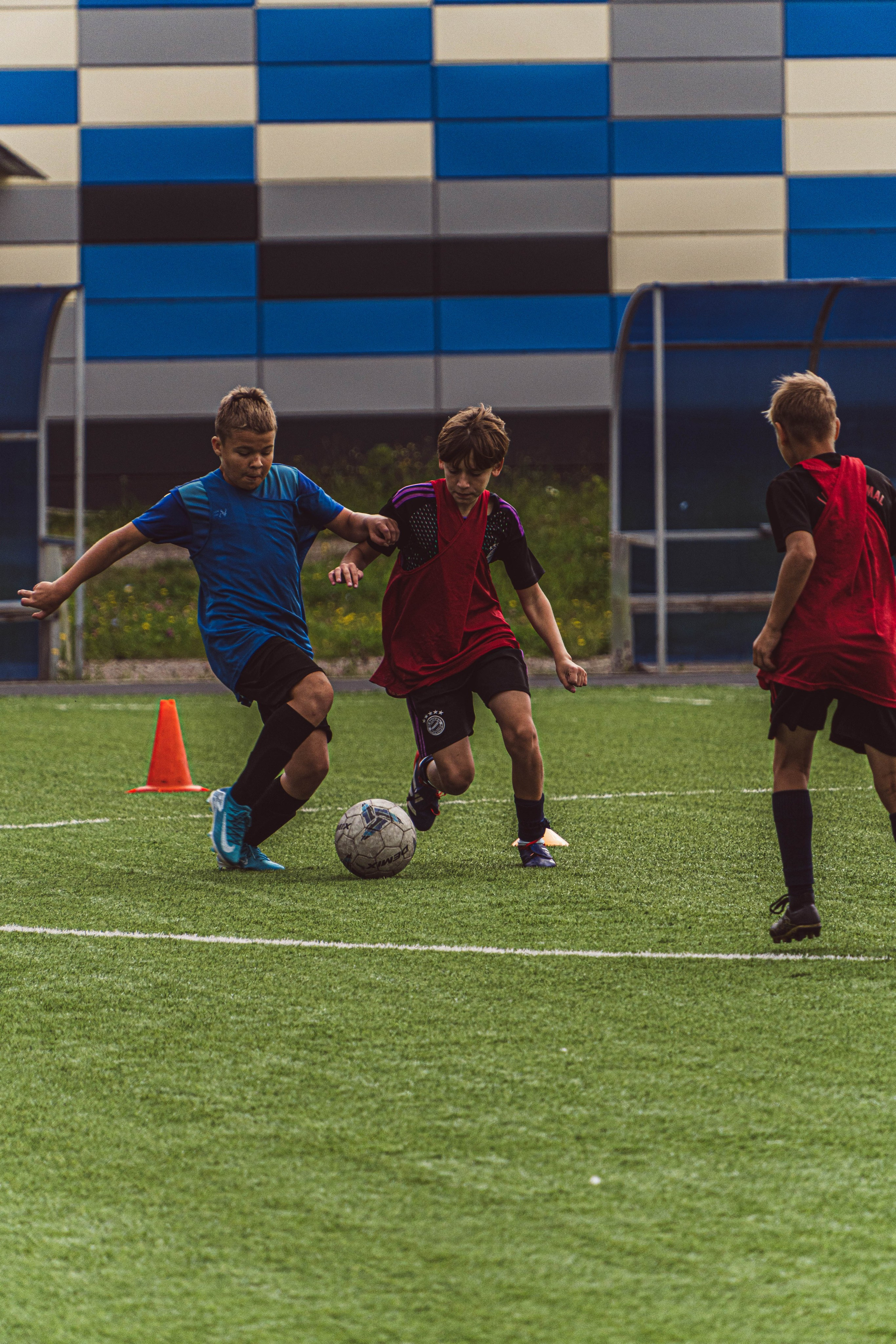 Живые фото. Главная