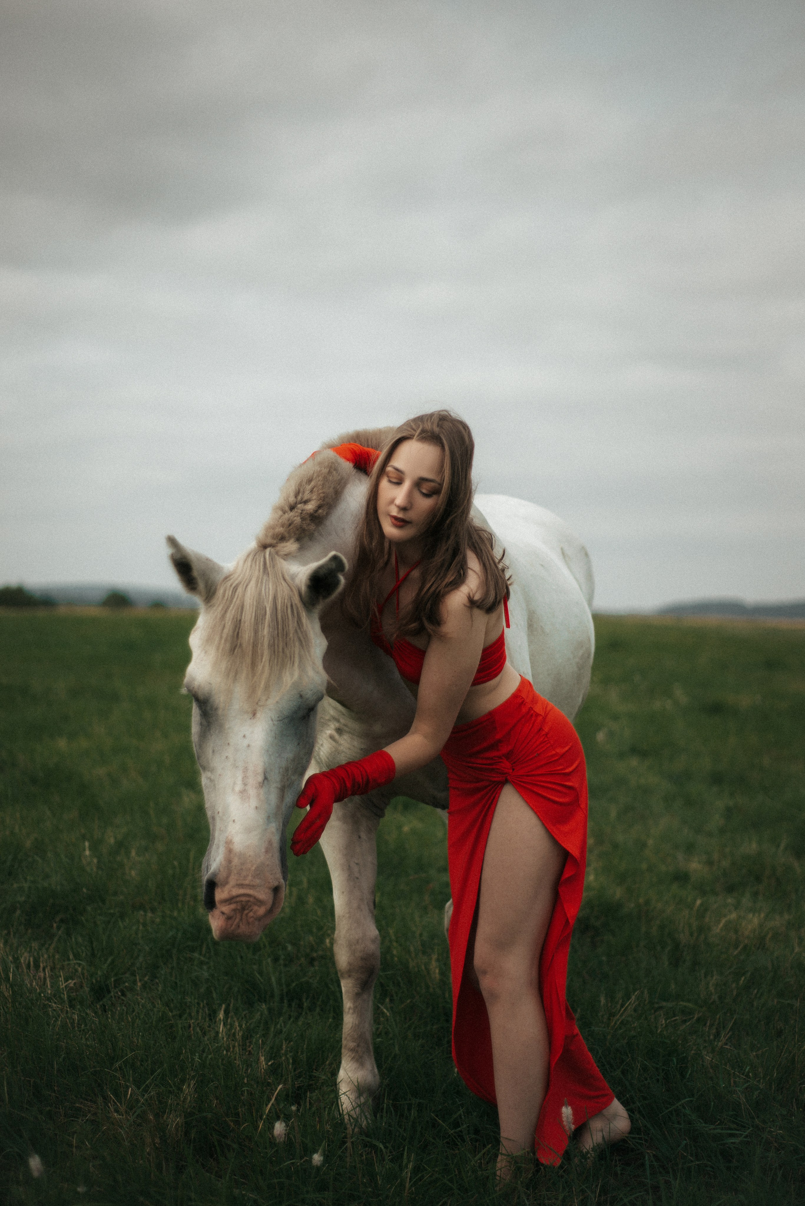 Horse. Фотограф