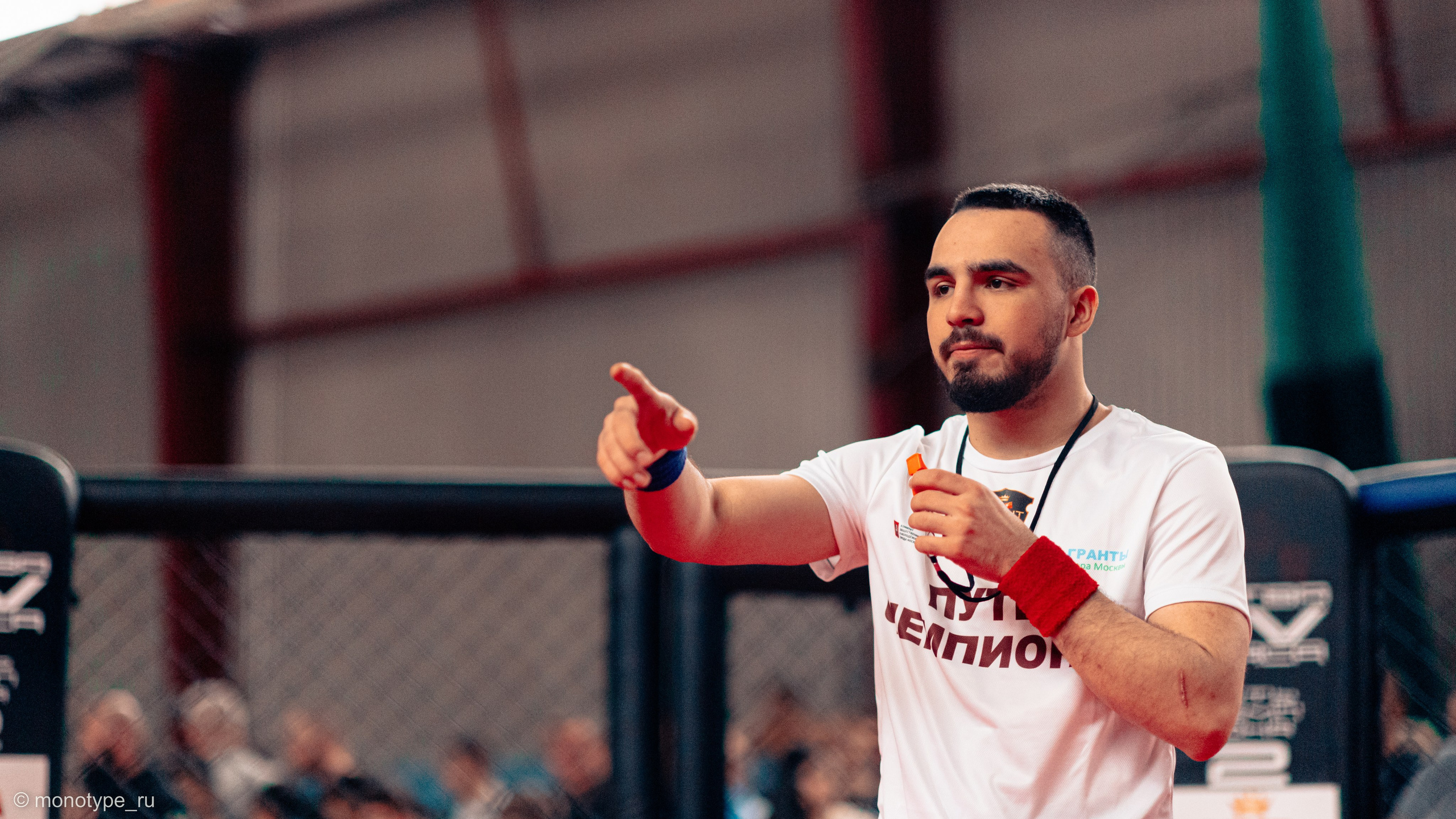 MMA. Бойцовский турнир