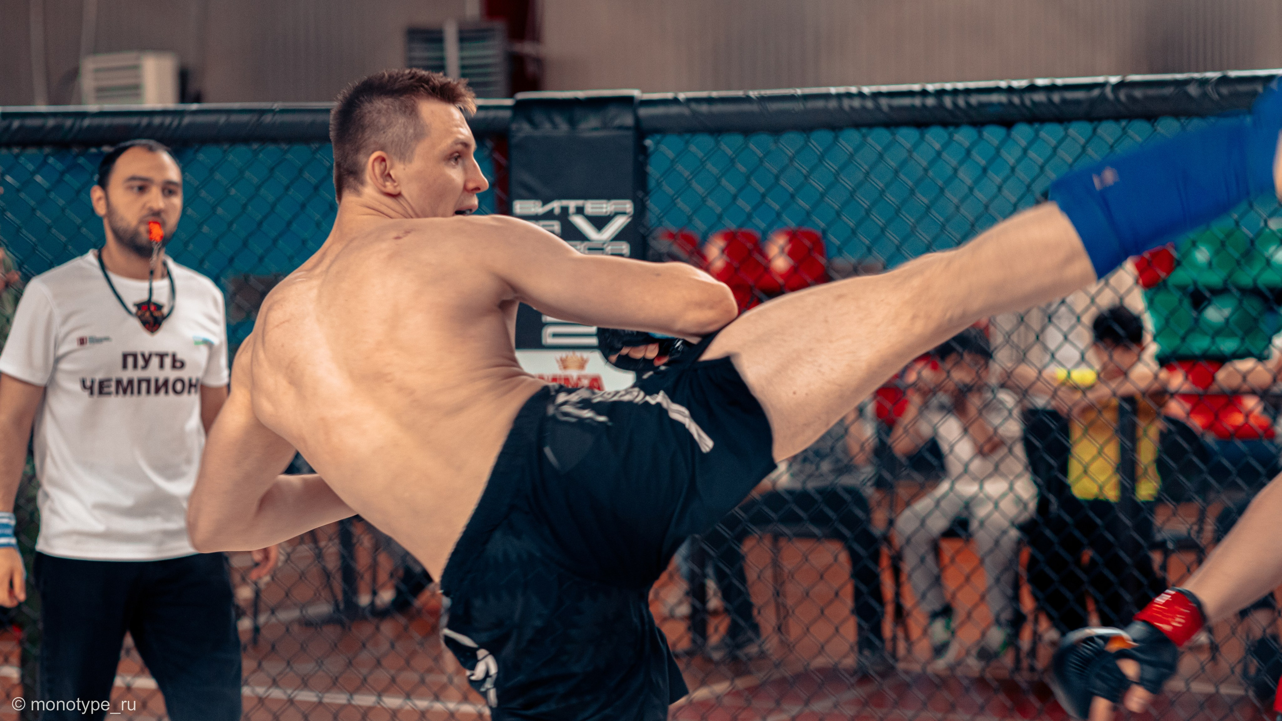 MMA. Бойцовский турнир