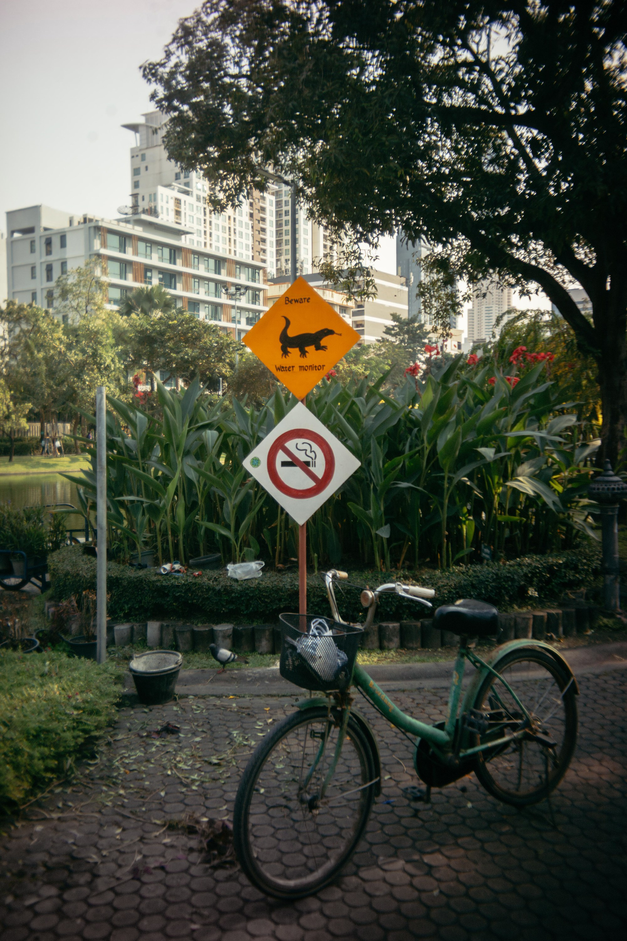 Шри + Бангкок. Фотограф Тбилиси Саша Мороз