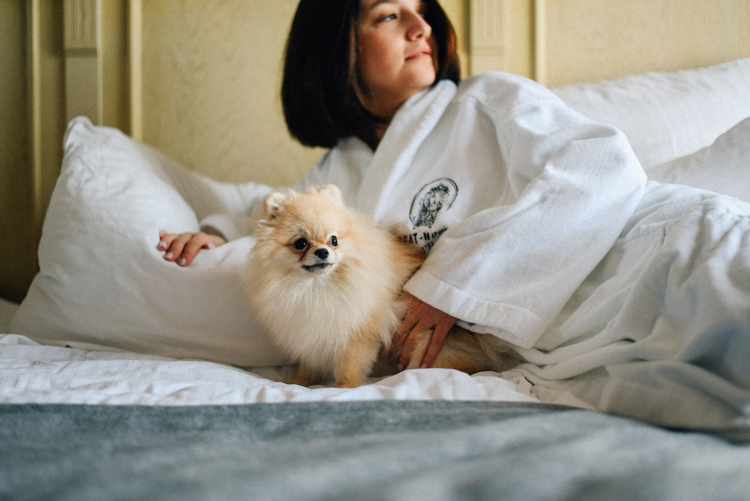 ARBAT HOUSE HOTEL. Фотограф Лола Волна, город Москва