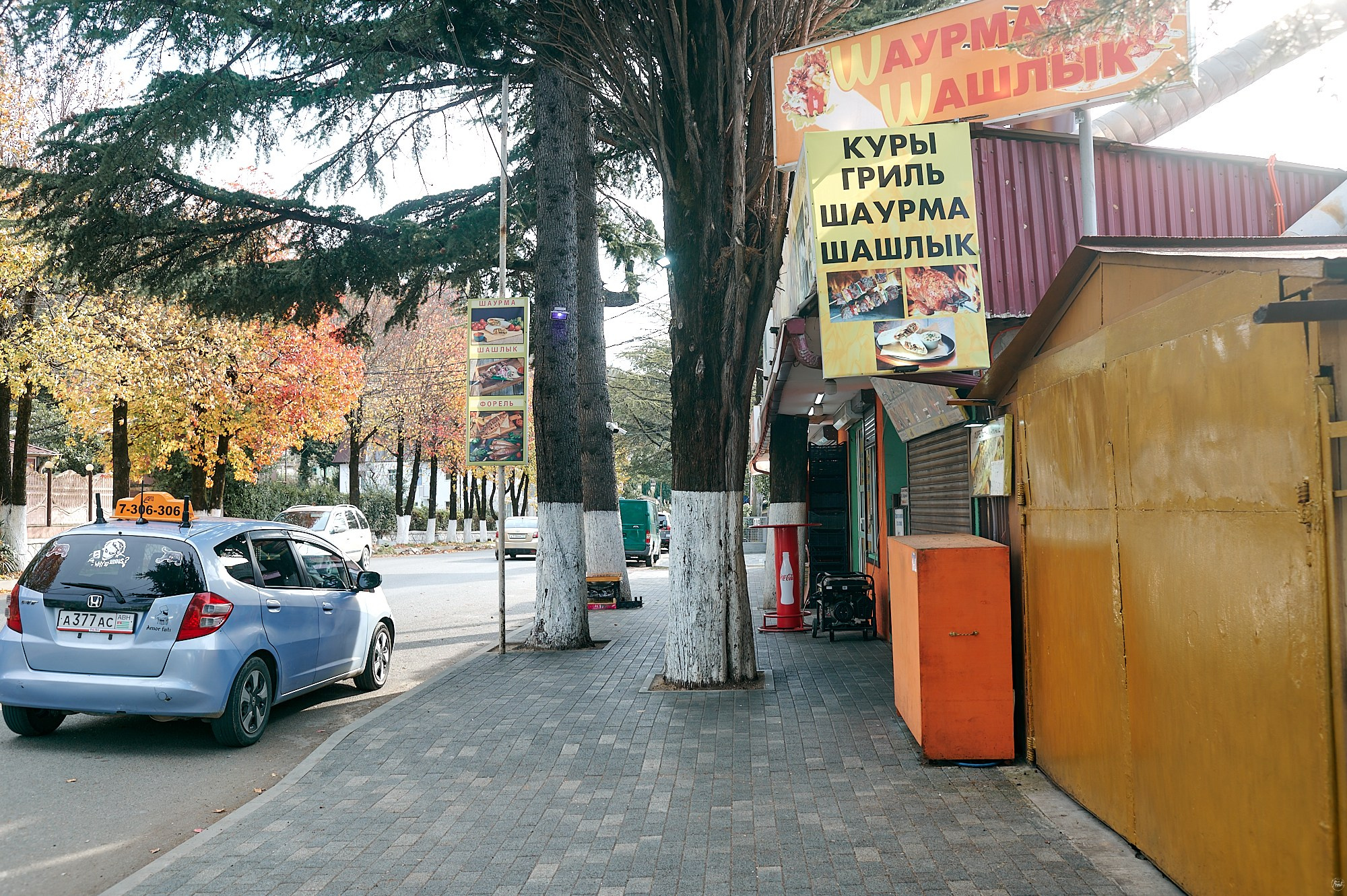 Гагра, Абхазия. Декабрь 2024. Фотографии отовсюду и обо всем