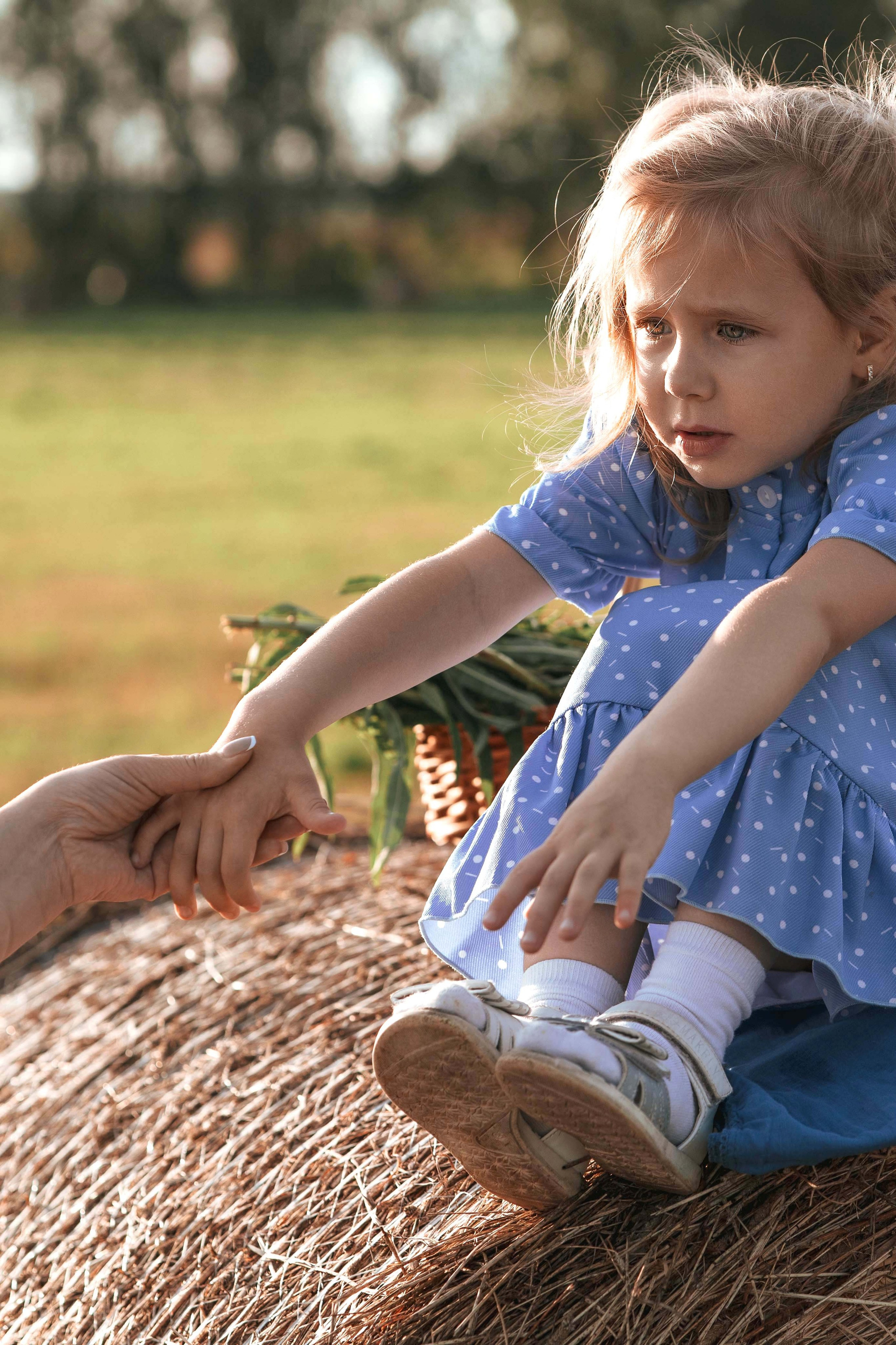 Прогулка в поле. Фотограф в Москве Мухина Ирина
