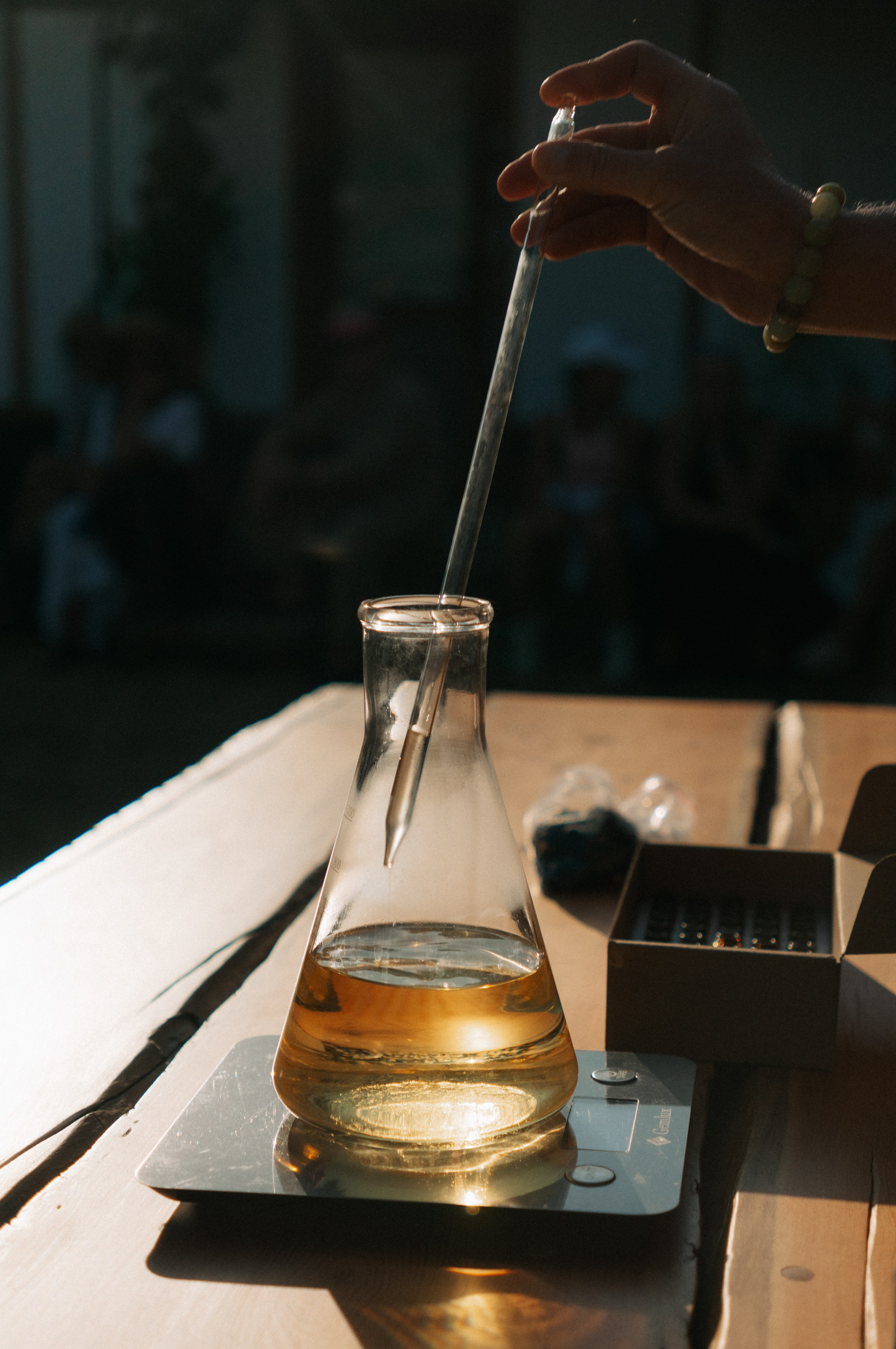 Сбор урожая | лавандовая ферма Viva Lavanda. Обо мне