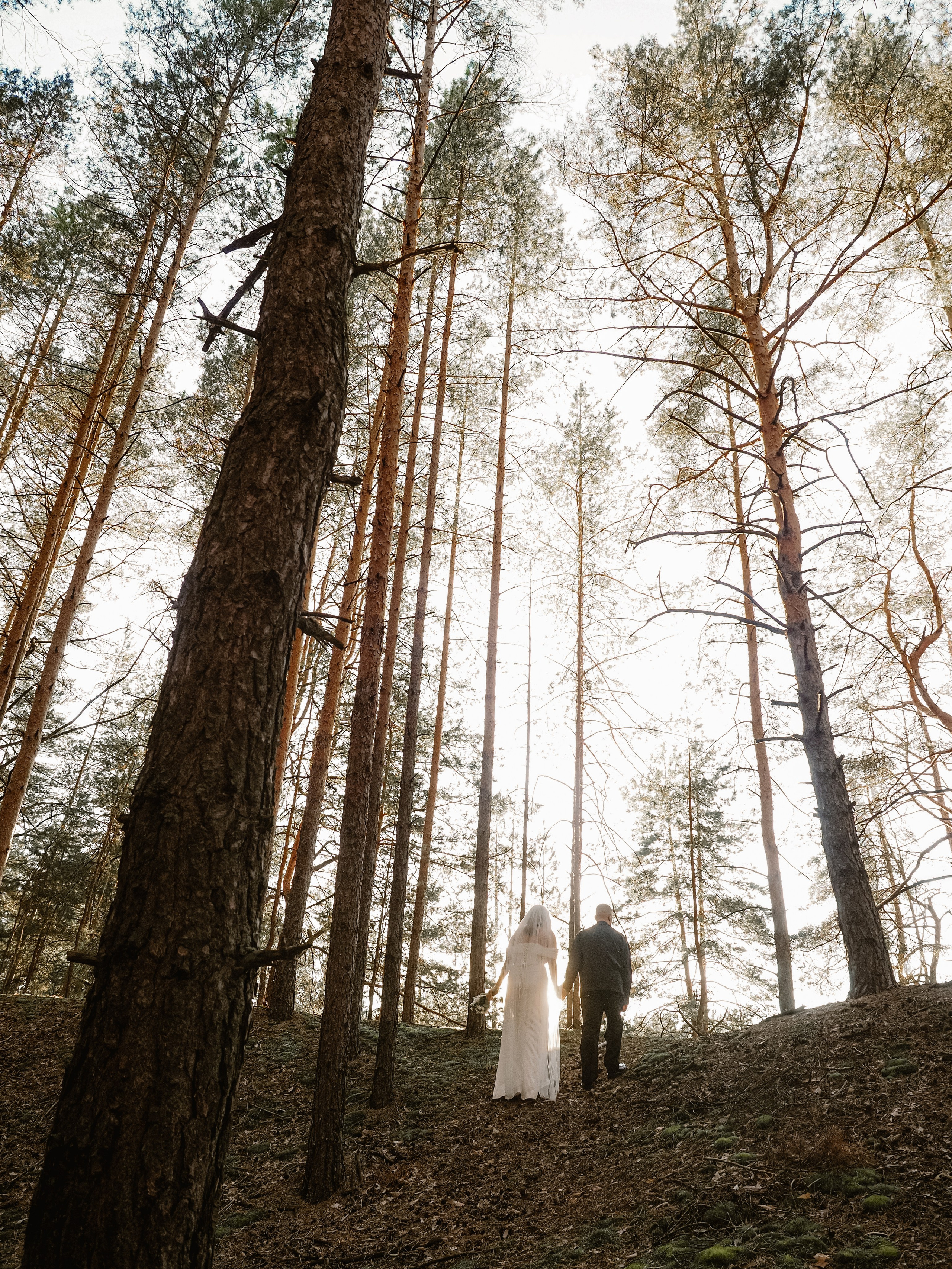 Виталий и Даша. Фотограф Рязань. Семейный Свадебный фотограф
