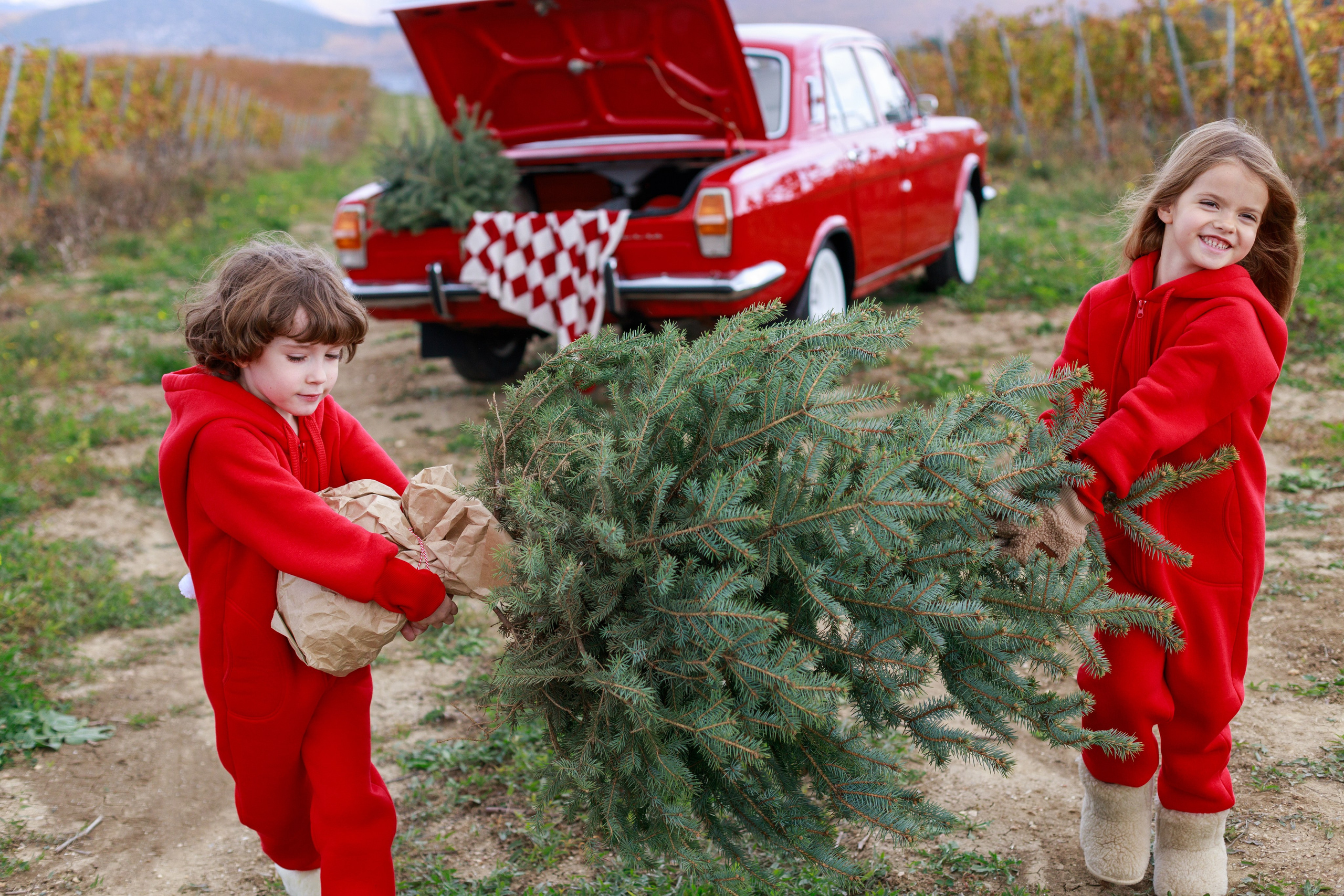 MJOLK. Новогодняя коллекция. Римма Зайцева контент для брендов