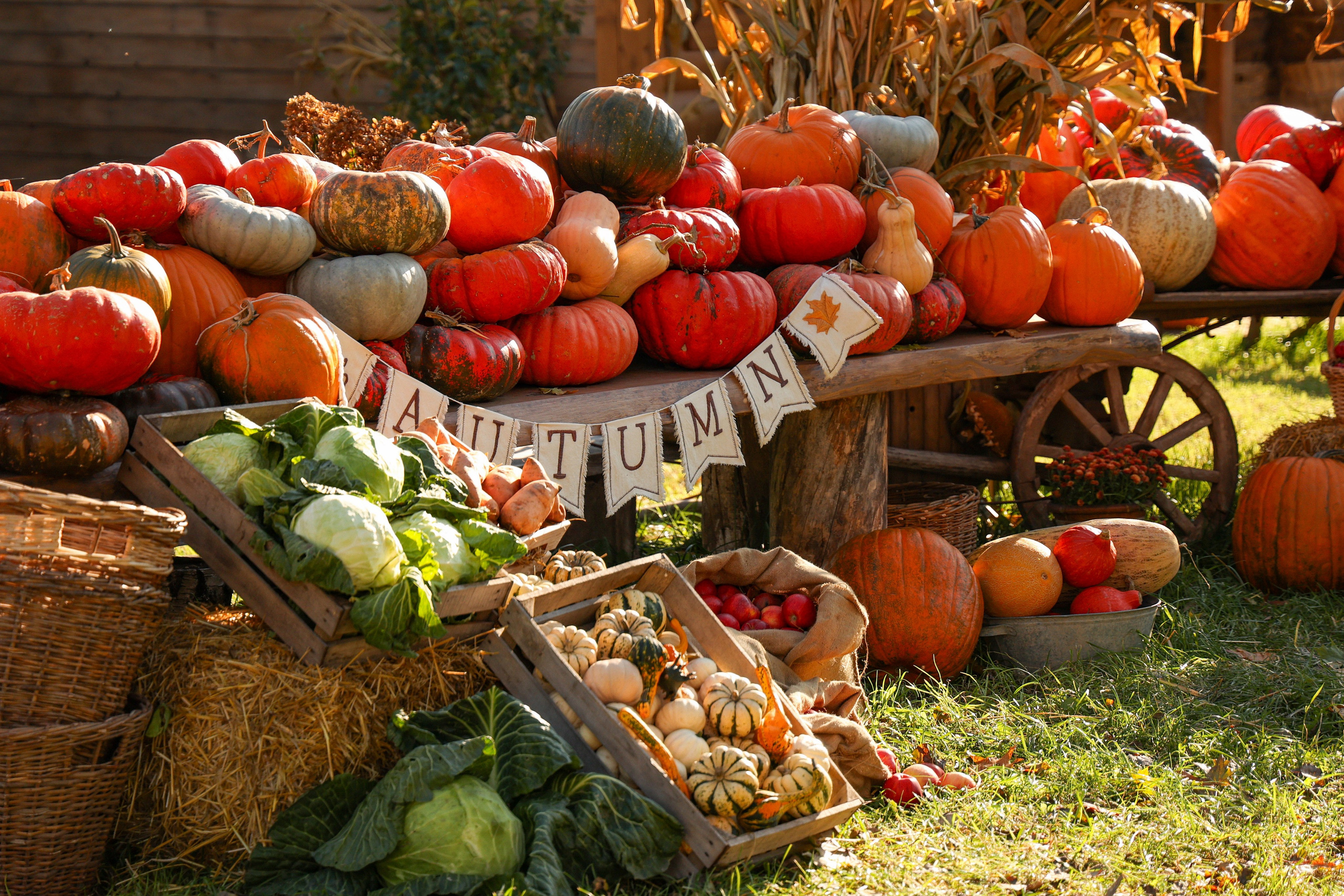 Владимир & Евгения. Семейная. Свадебный и Event фотограф в Москве Бажина Ирина