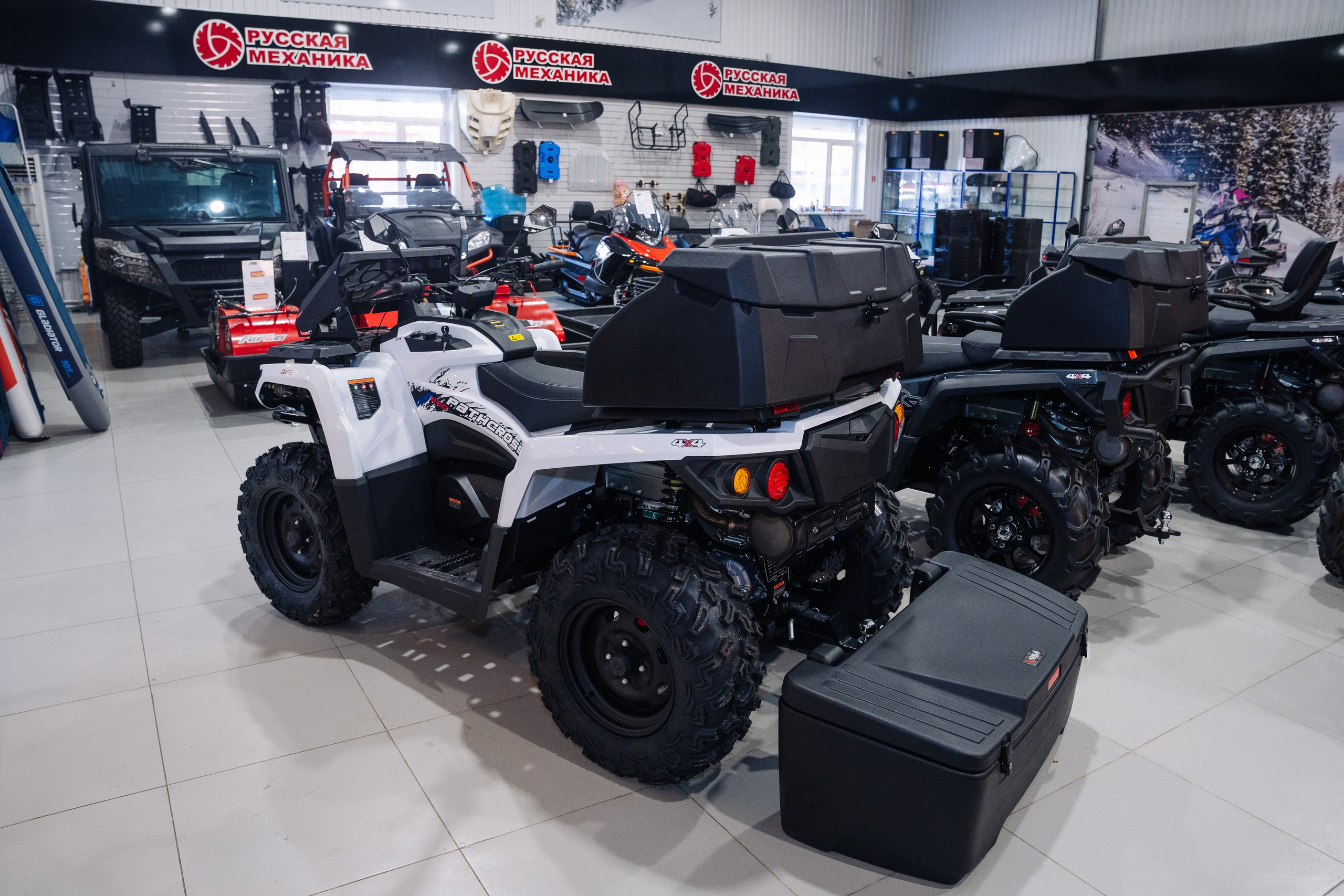 GLADIATOR. Фотограф Хабаровск