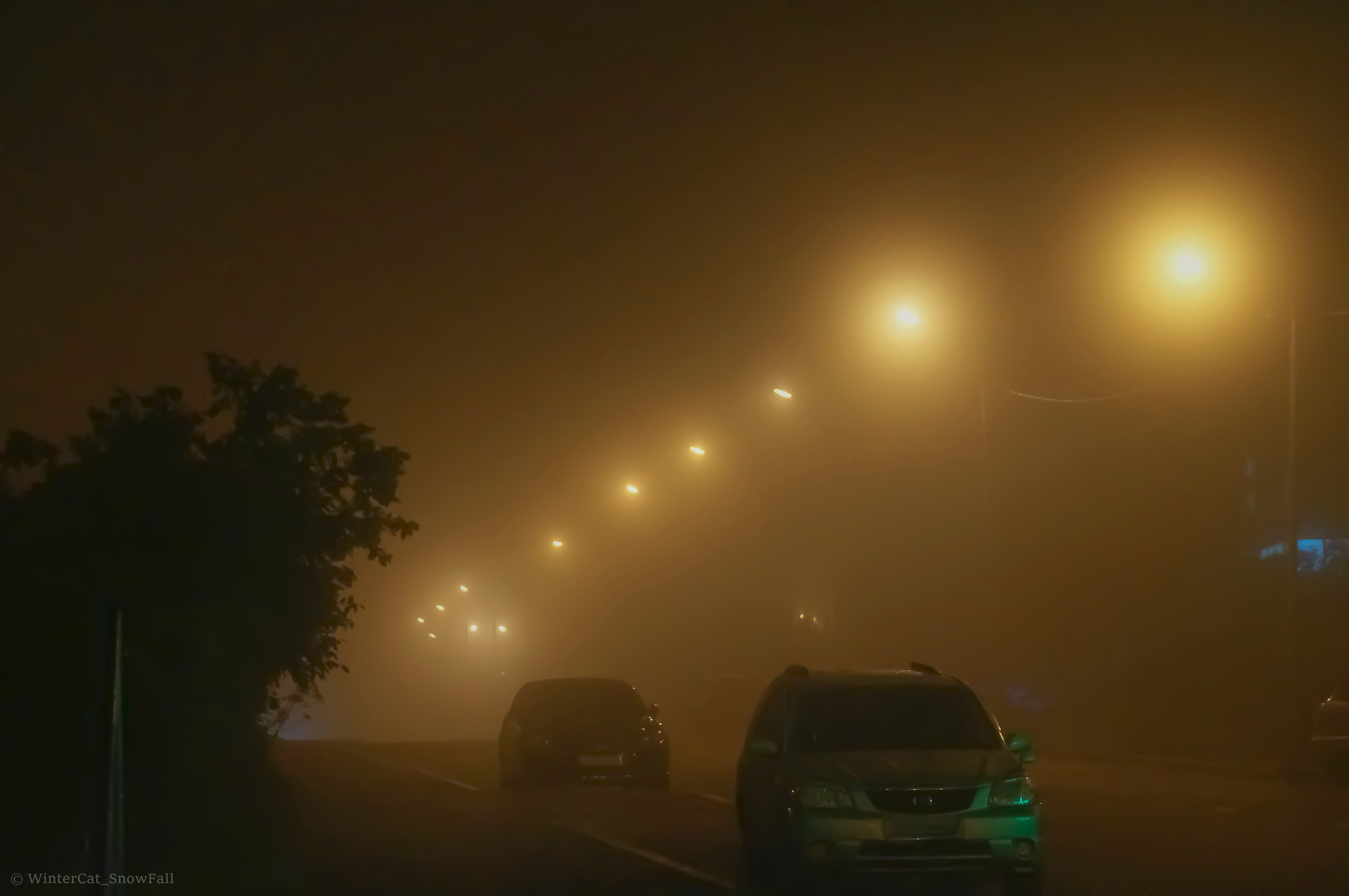 Съемки. Портретный и репортажный фотограф в Магадане Андрей Нефедов WinterCatPhoto