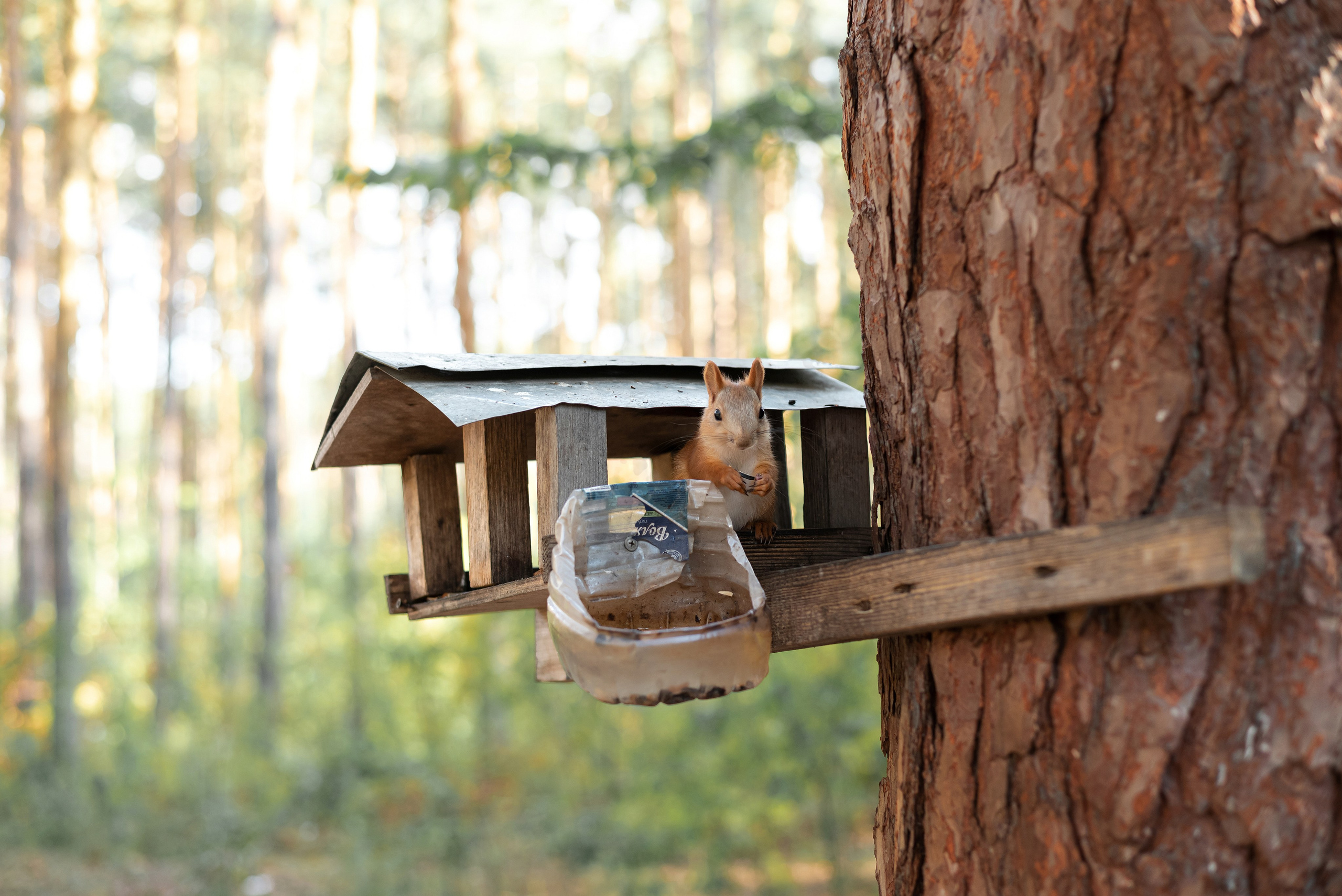 Случайные моменты. Бжицких Виталий — фотограф г. Ульяновск