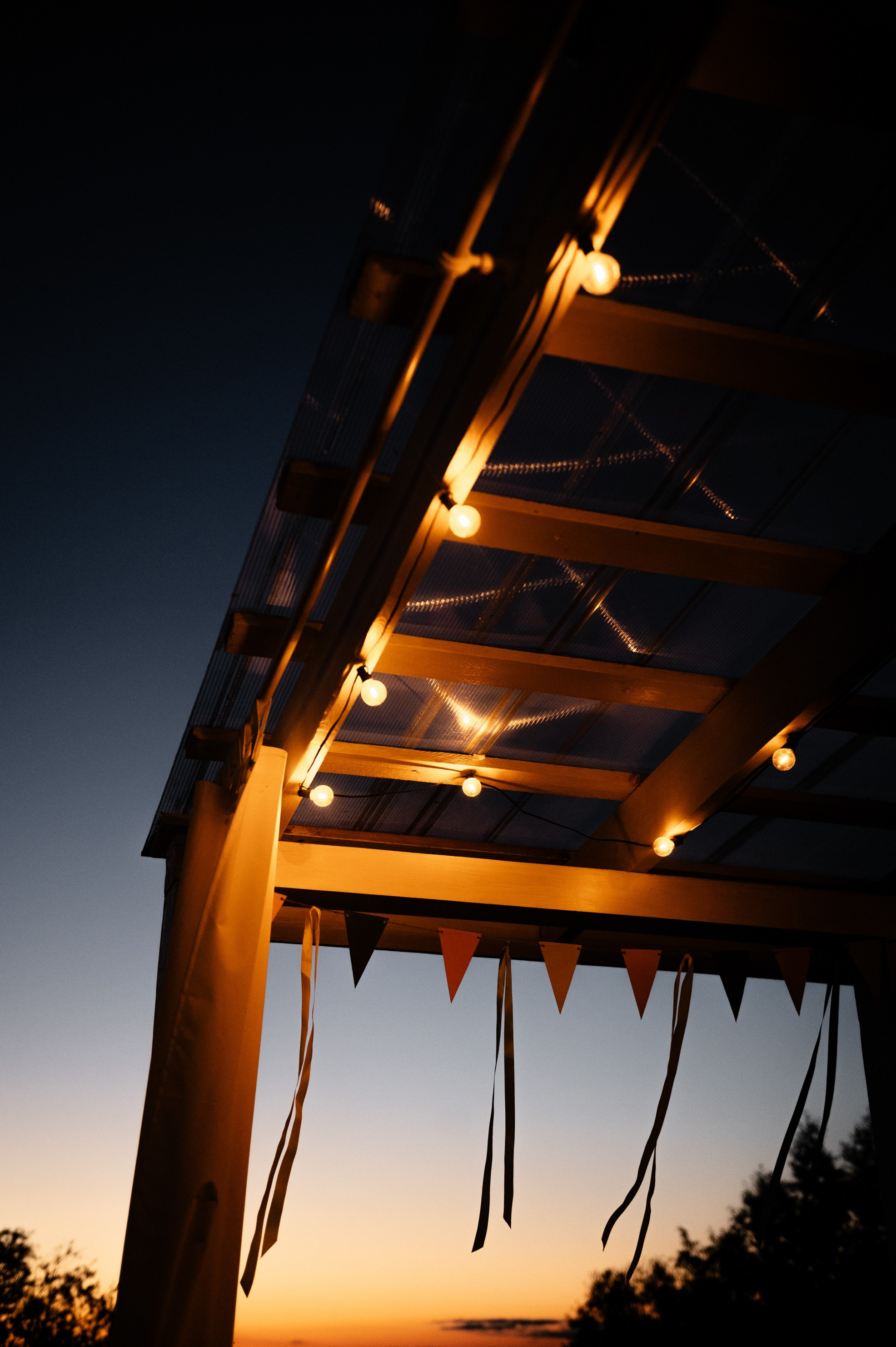 Николай и Людмила. Zhulanovilya