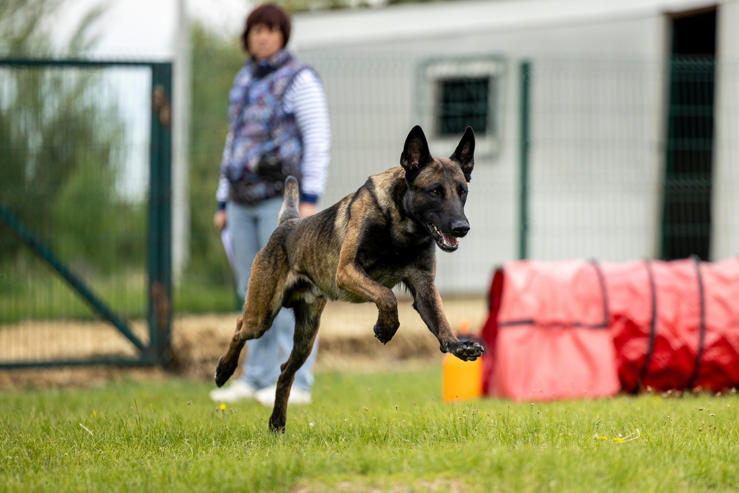 Испытания по мондьорингу в Нижнем Новгороде. Фотограф-анималист Анна Маринич