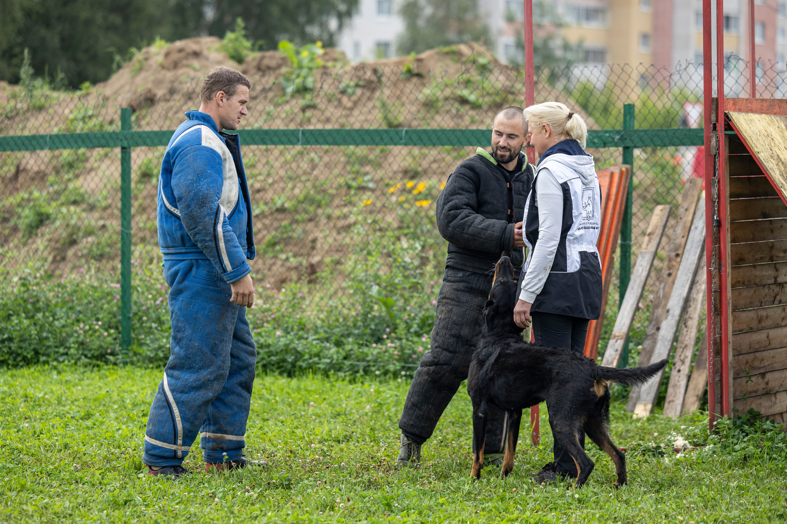 Соревнования по Мондьорингу г. Вологда 10-11.08.2024. Фотограф-анималист Анна Маринич