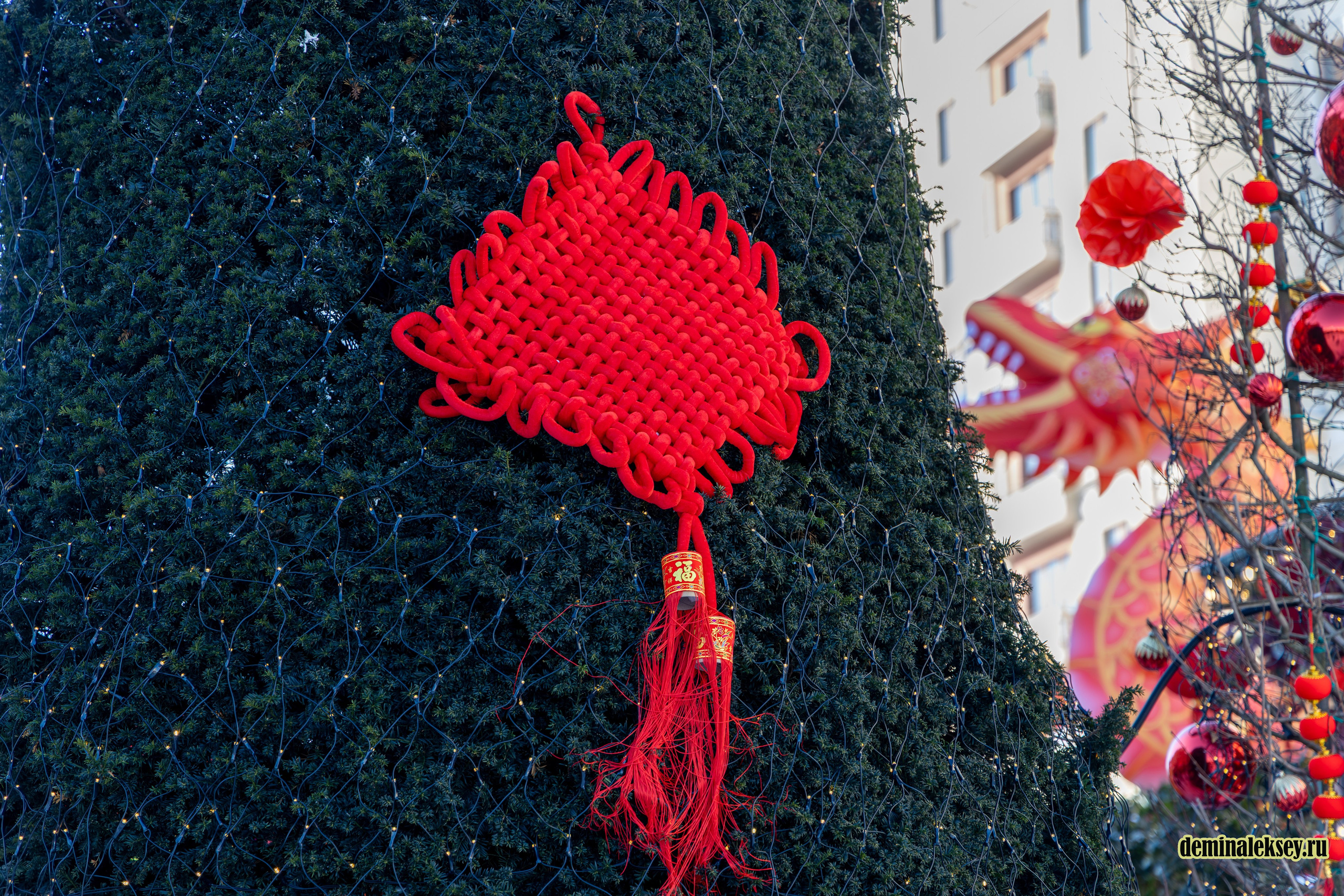 Китайский Новый год в Москве 2026. Репортажный, семейный и студийный фотограф в Москве Демин Алексей