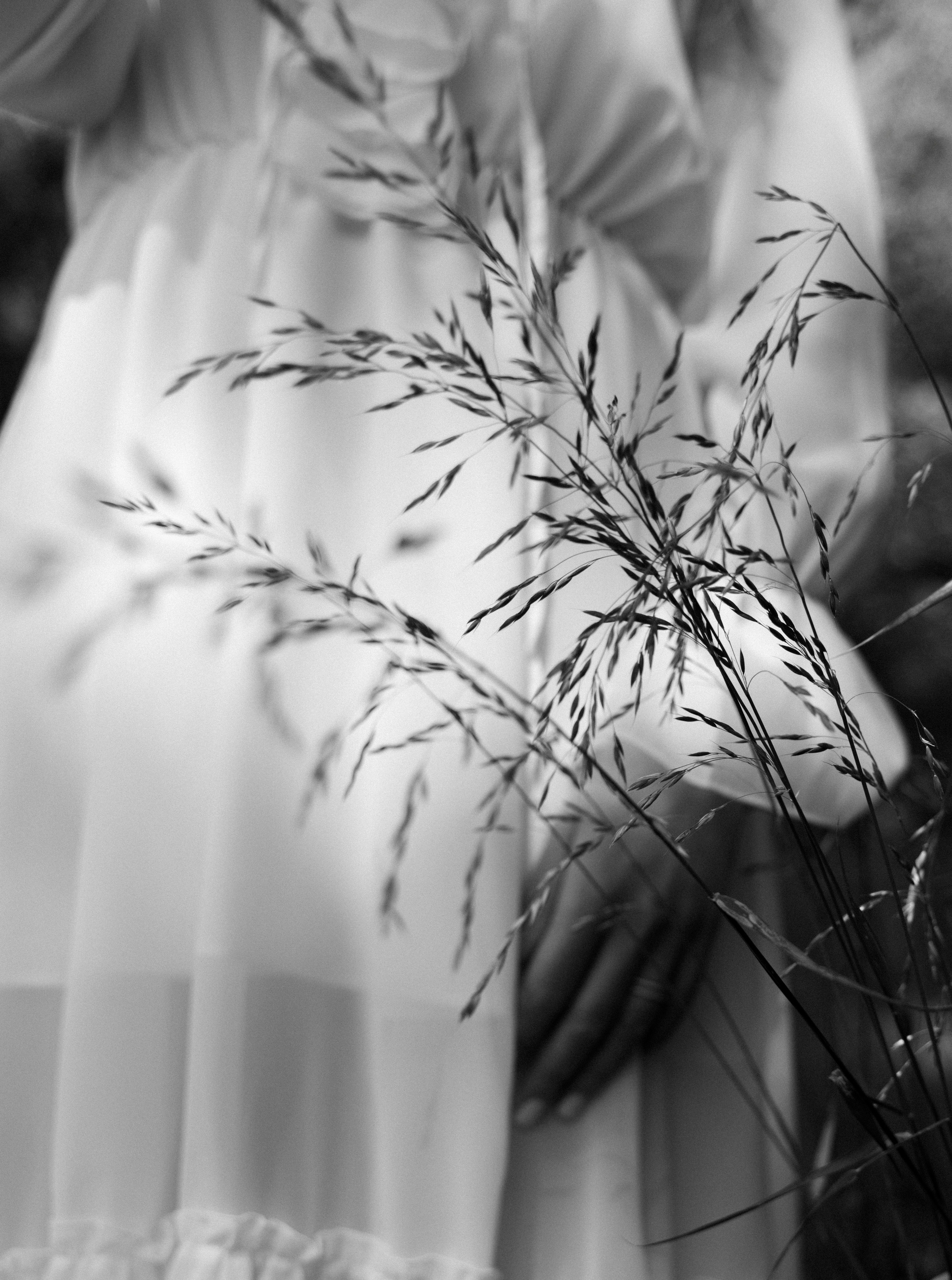 ЛЕТНЯЯ ИСТОРИЯ. FotoTanya. Раменское/Жуковский/Бронницы