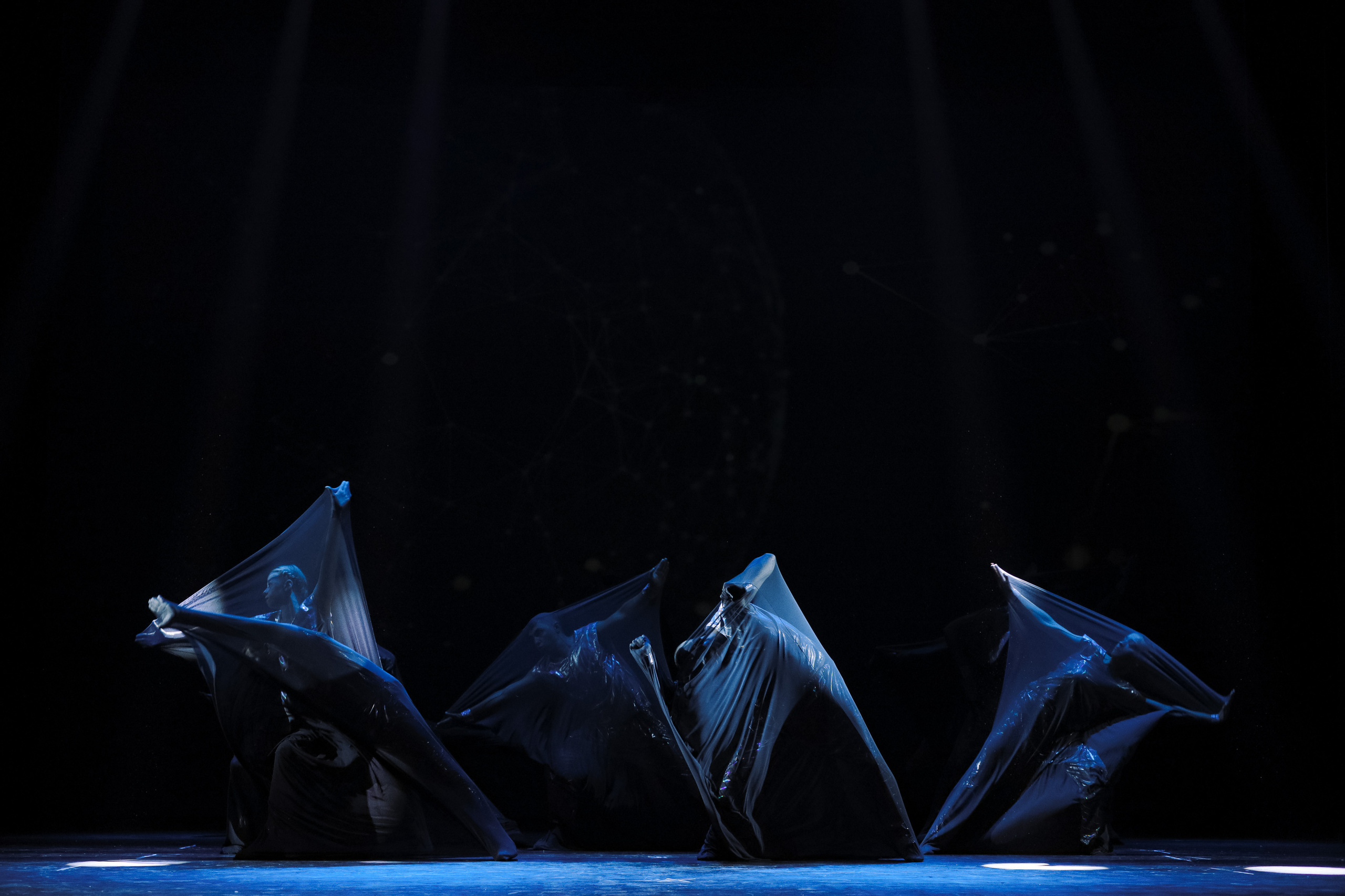 СИАЛ 20 лет. Организация свадьбы Красноярск