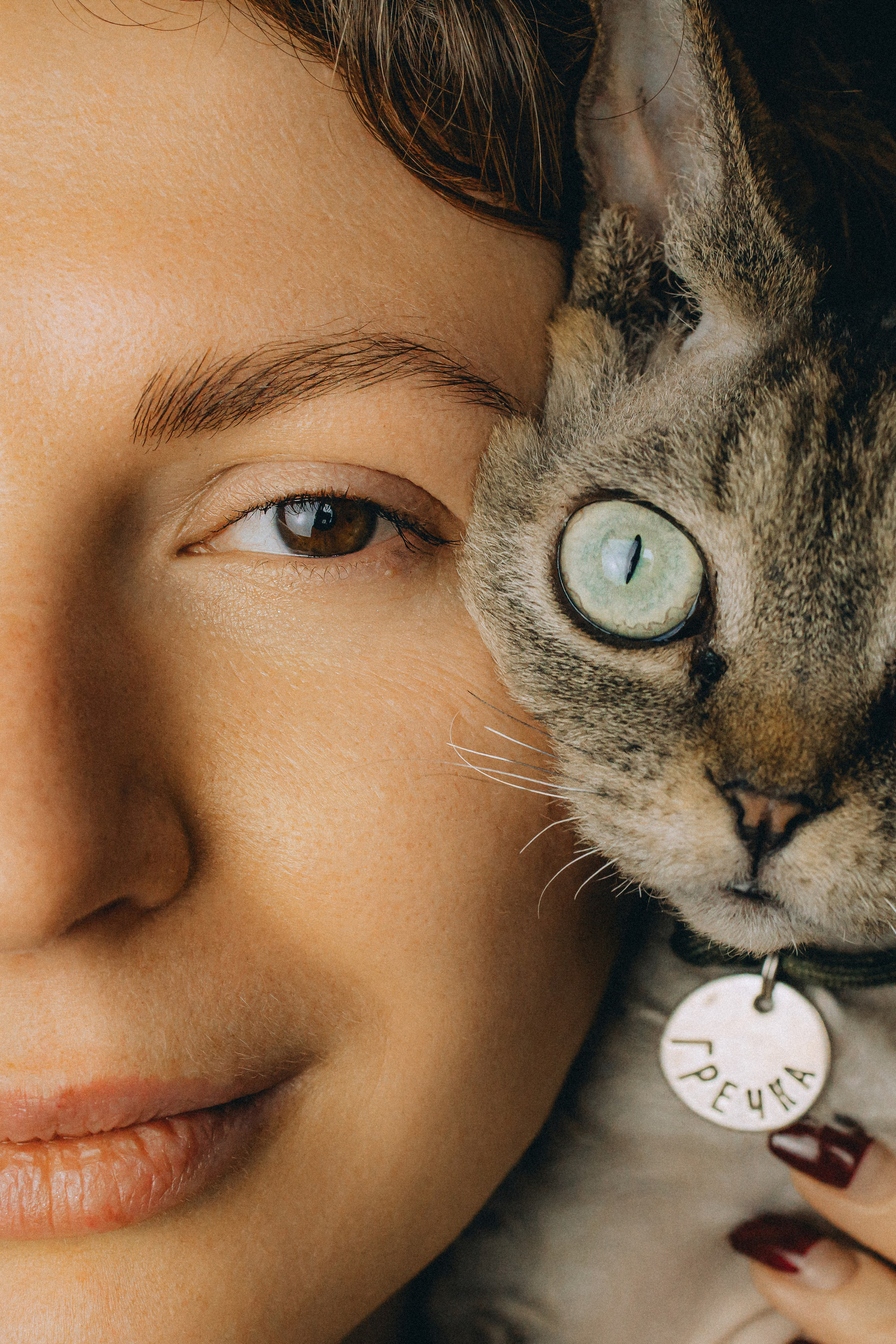 Гречка, Ковш и их семья