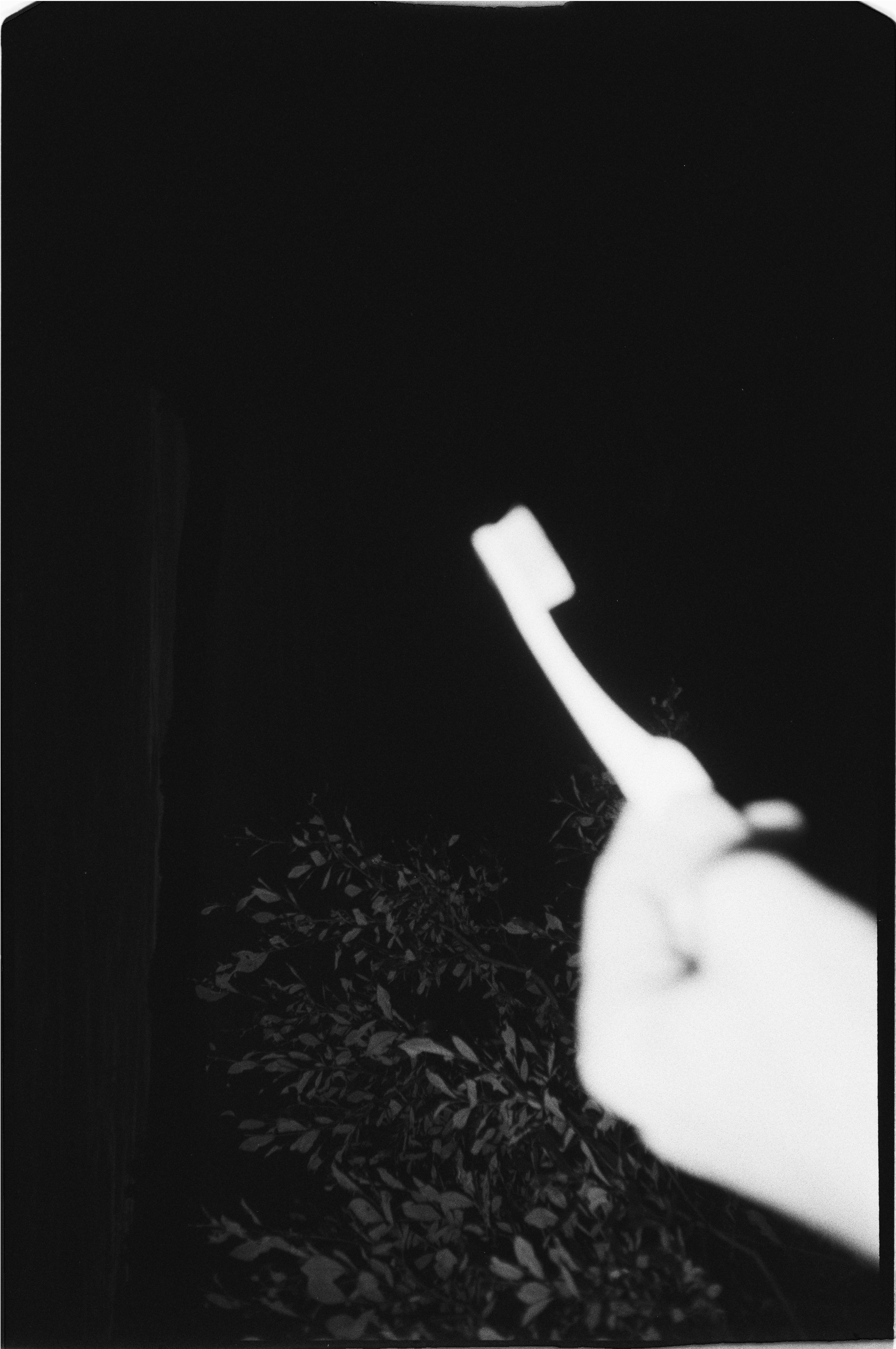 И вокруг меня. Портретный и концертный фотограф в Санкт-Петербурге Егор Телятников