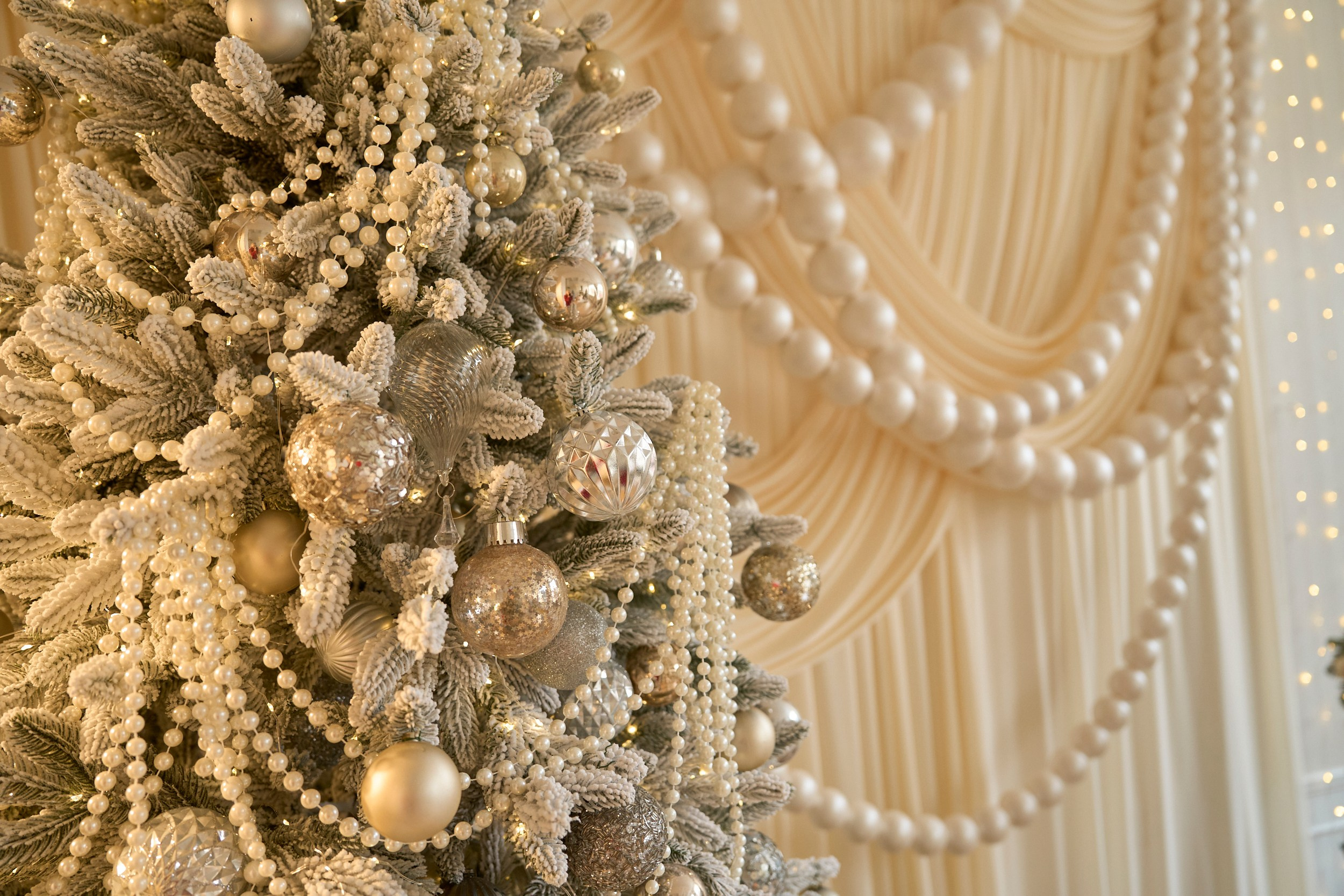 Париж (Paris). Фотограф г. Хабаровск. Семейные и индивидуальные съёмки