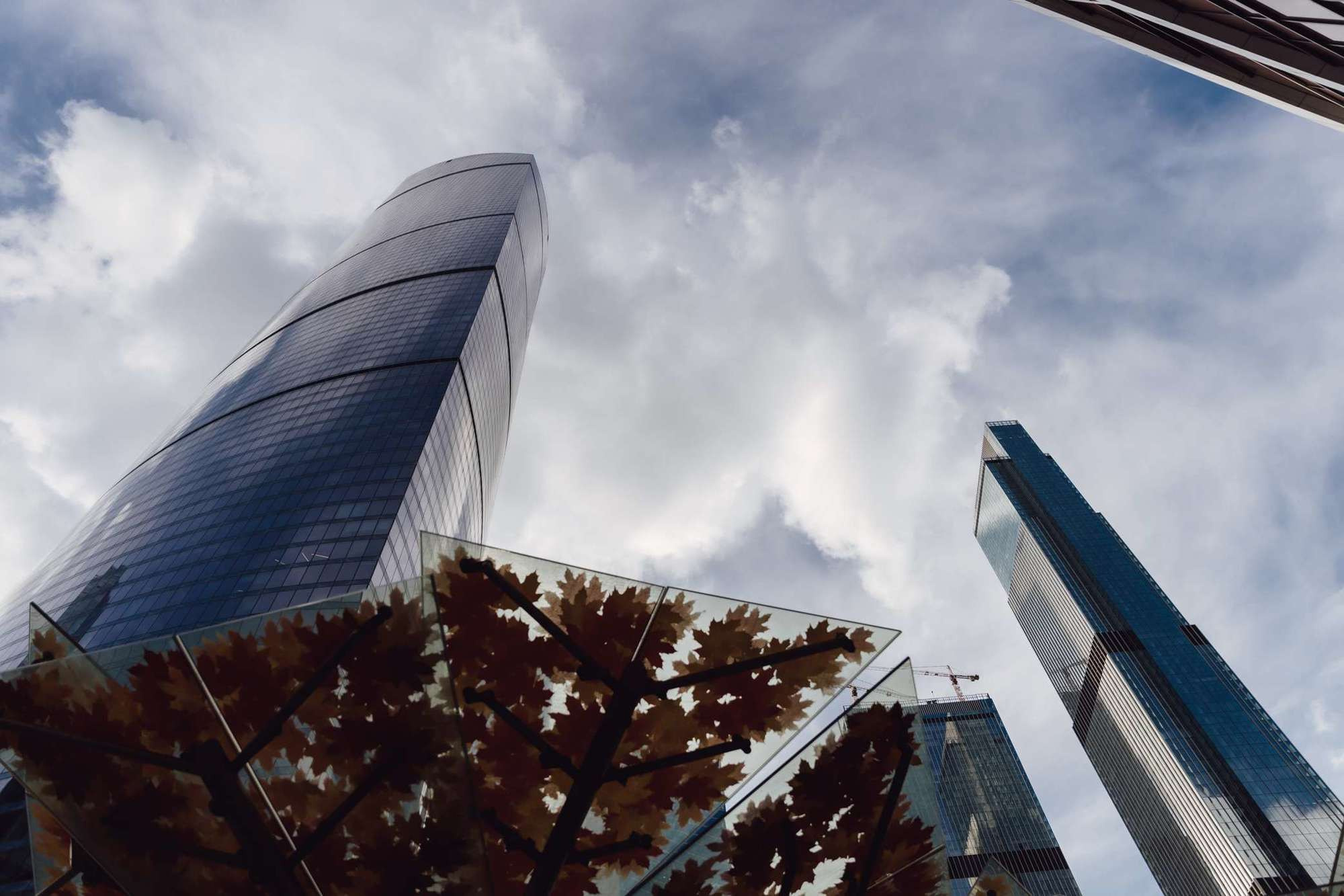 Виктор и Наталья. Профессиональная фотосессия в Москве и Московской области