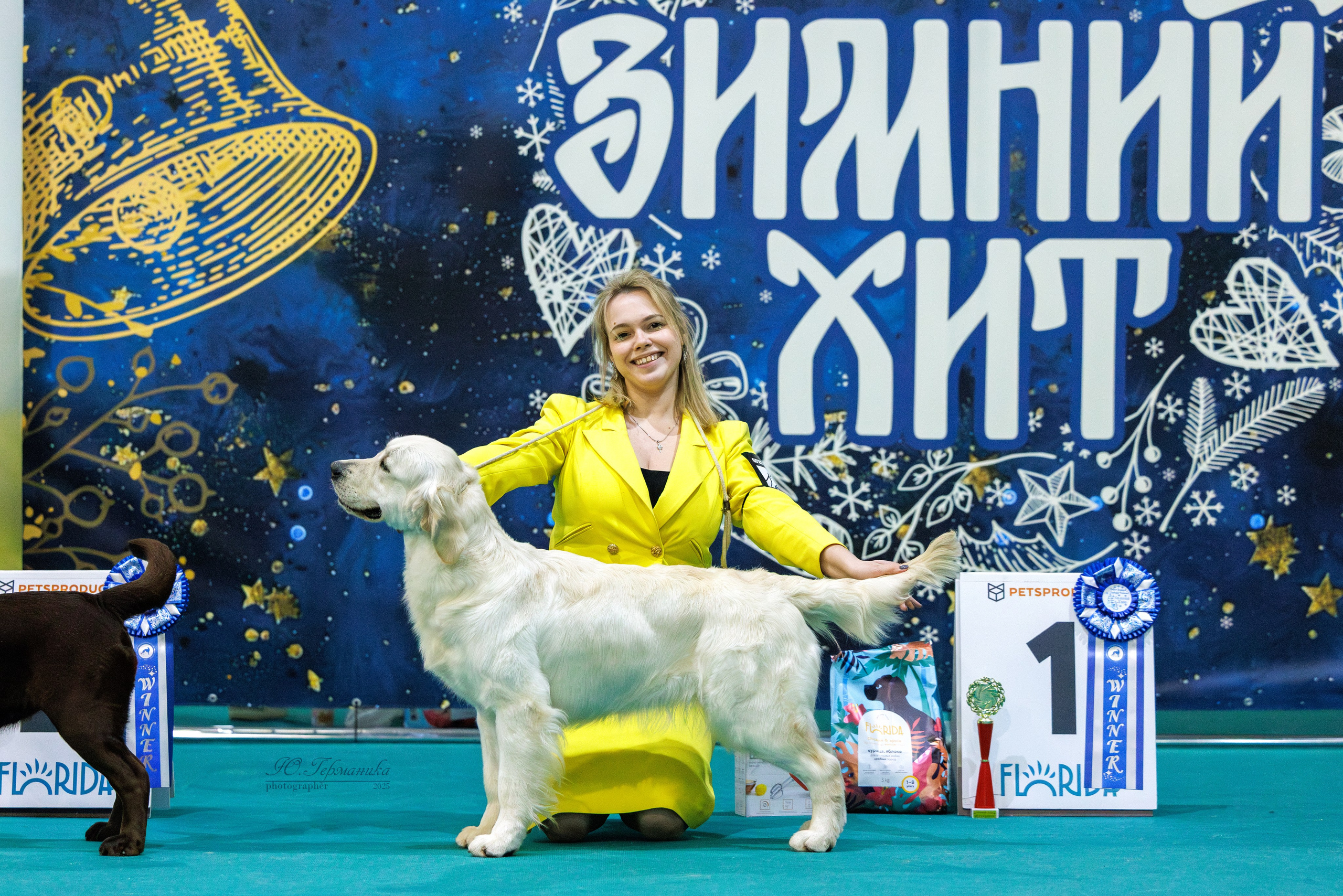 Питер ротвейлеры 18.01,Крокус 19.01.2025. Фотограф-анималист Юлия Германика