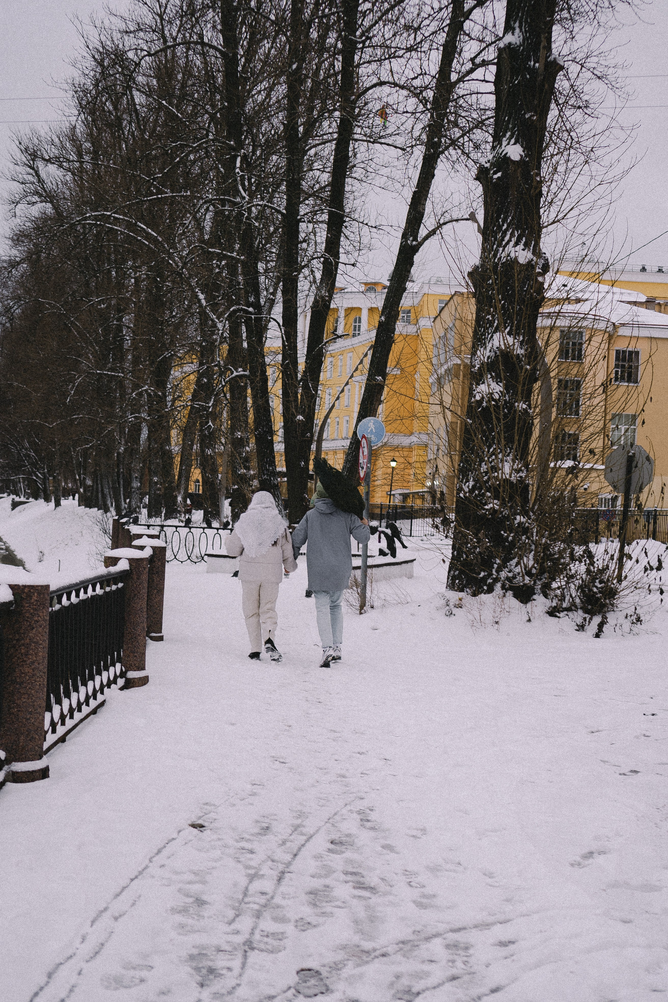 Зимняя история. Профессиональный фотограф, Санкт-Петербург — Виктория Богомолова