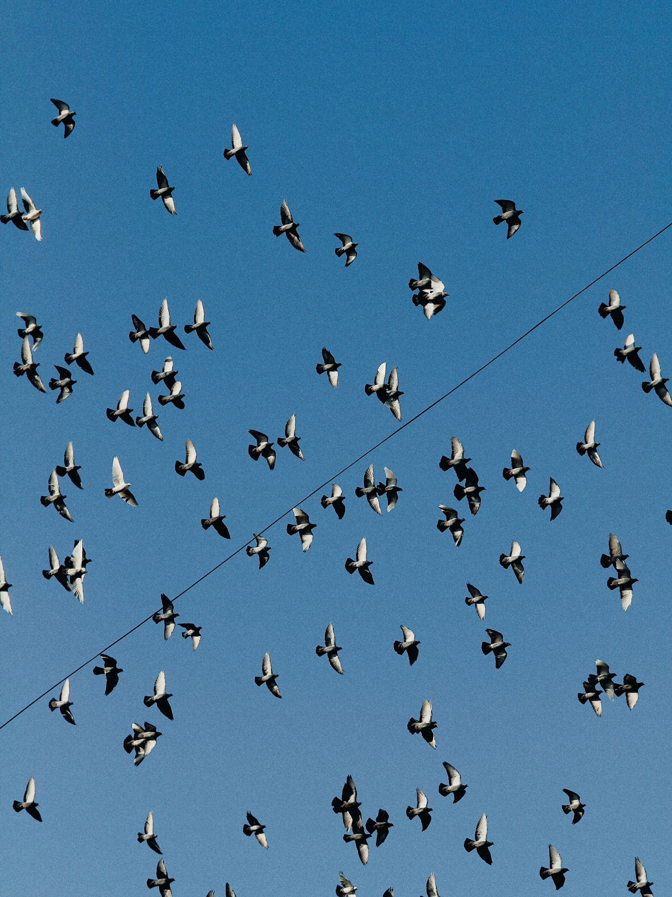 Film and another stuff