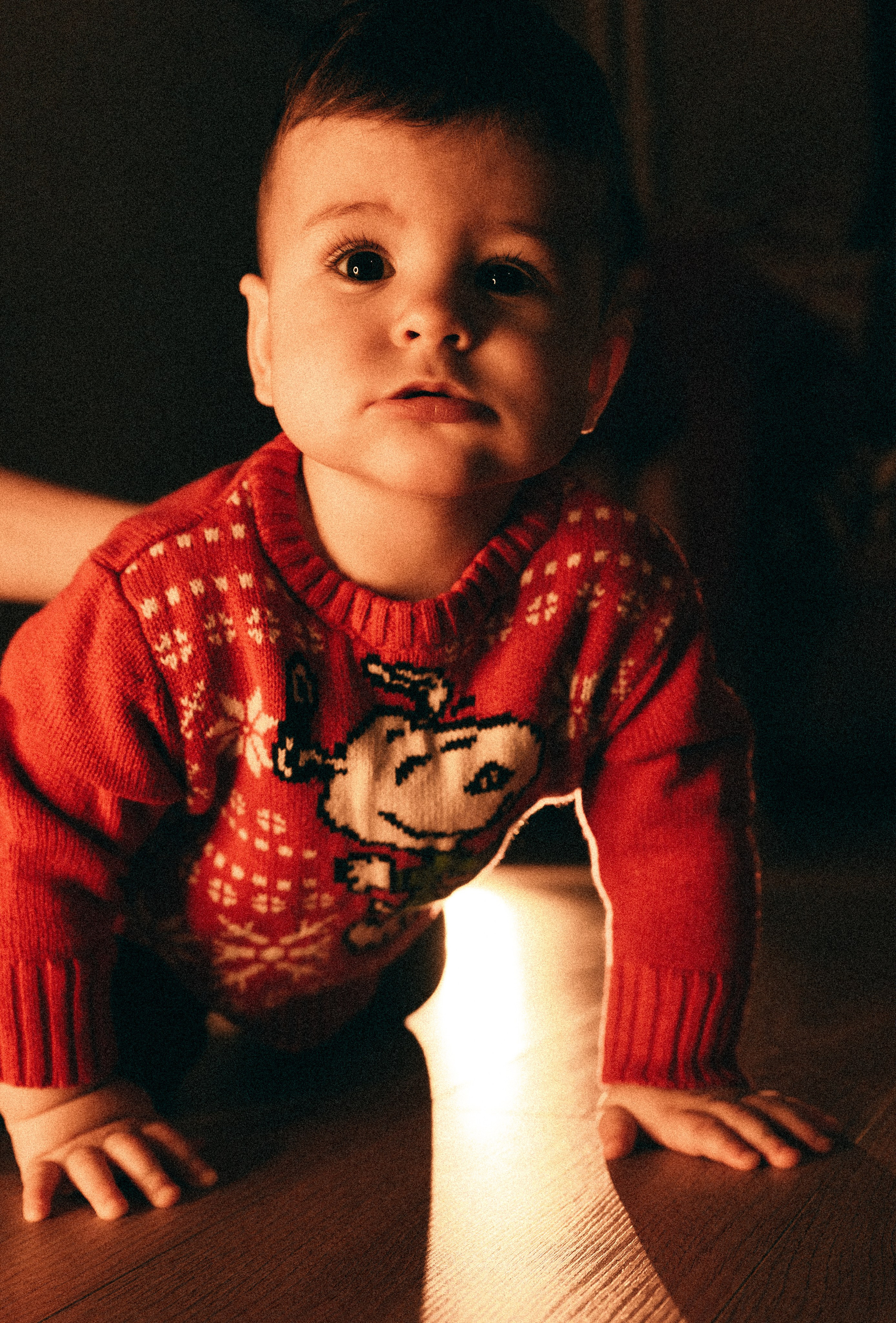 Семья. Фотограф Дарья Сафонова Dashulkacss