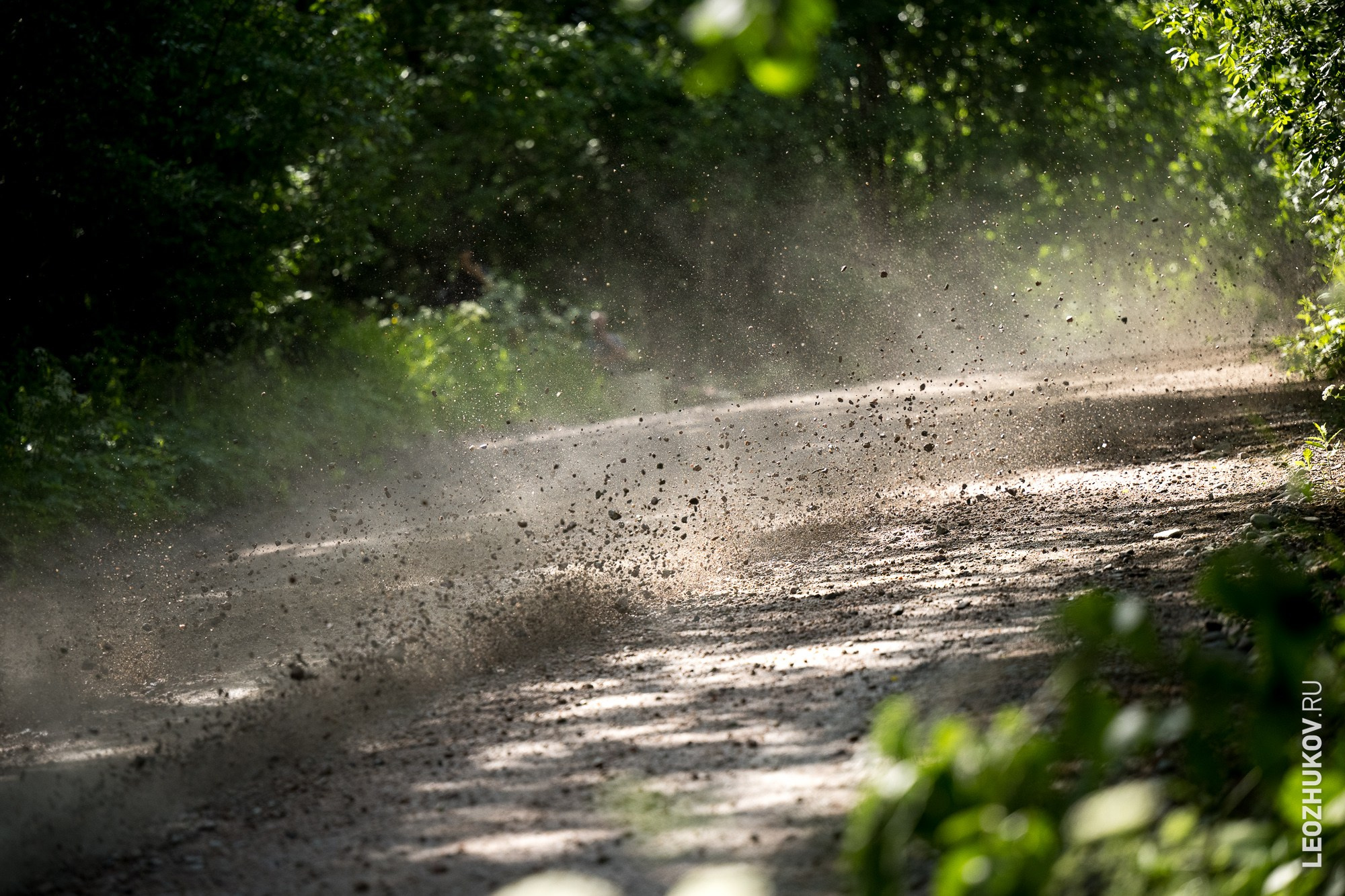 Ралли Белые ночи 2024. Спортивный фотограф Леонид Жуков