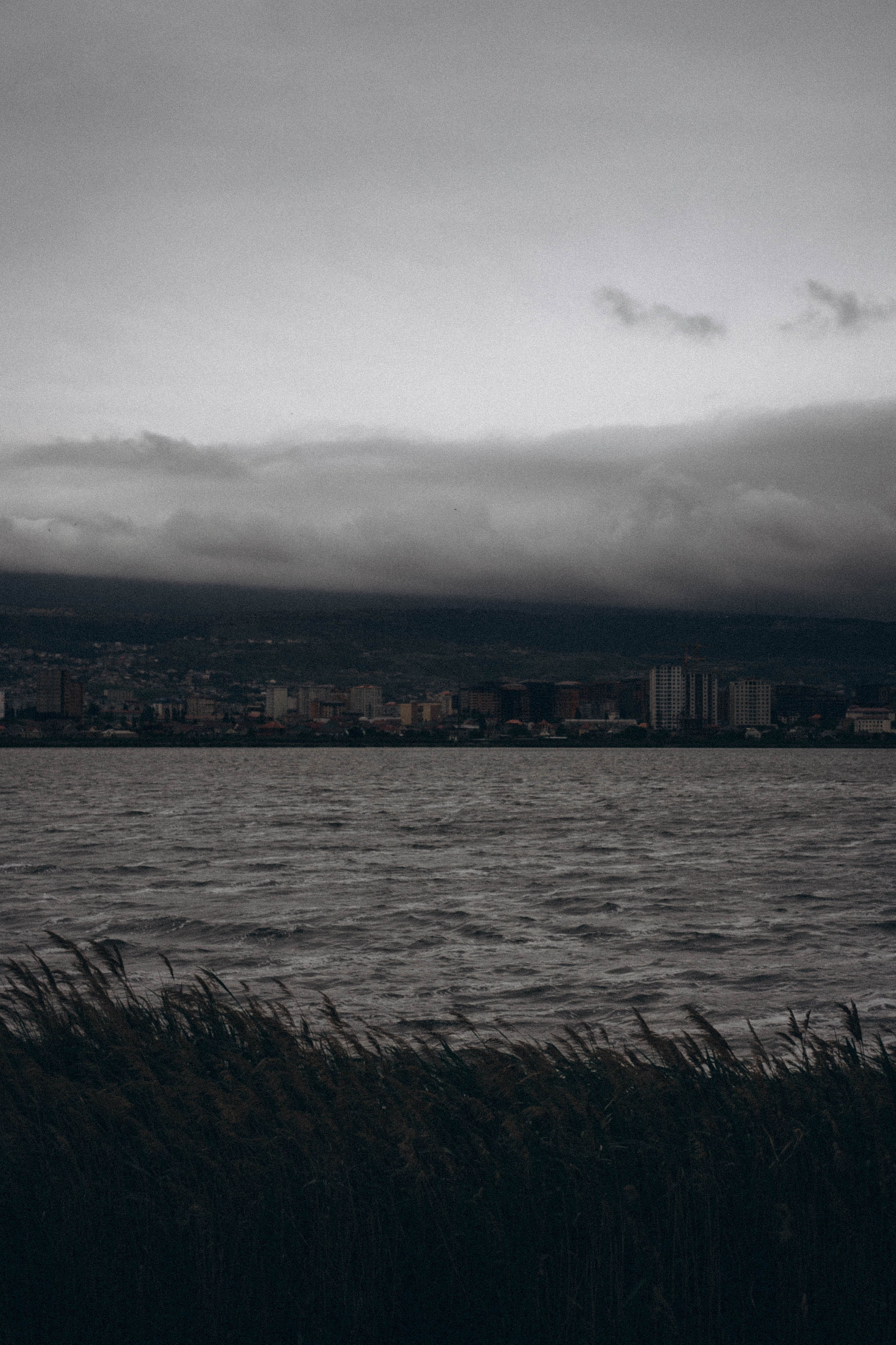 Кавказ. Профессиональный фотограф, Санкт-Петербург — Виктория Богомолова