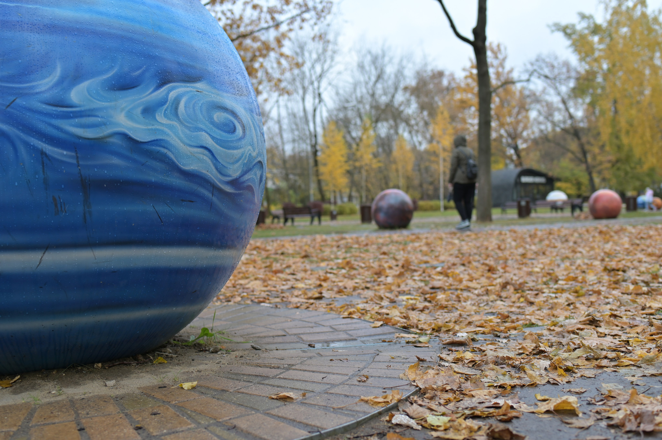 20241026 Сокольники. Дмитрий Ремизов. Фотография, как хобби